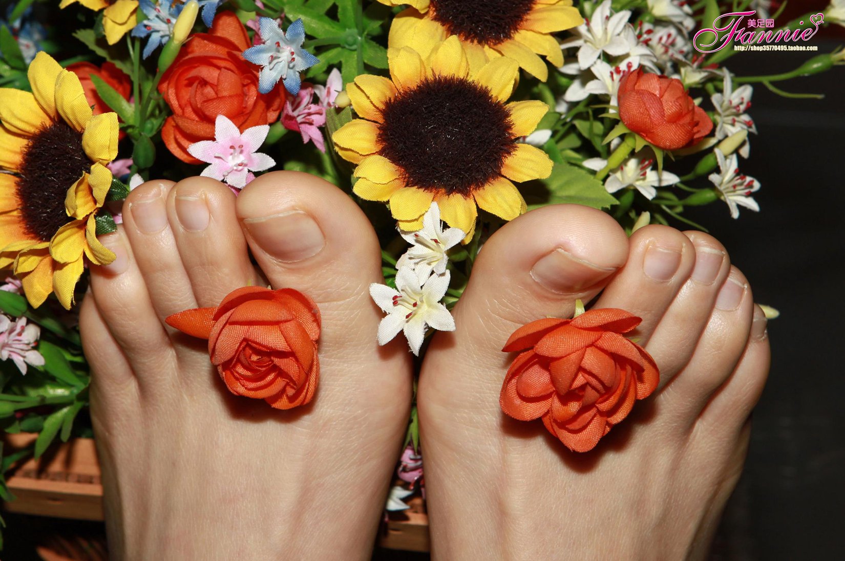 图片[29]-Fannie芬妮每足园 No.557 夜的乐章4[46P] – 速更版-美库