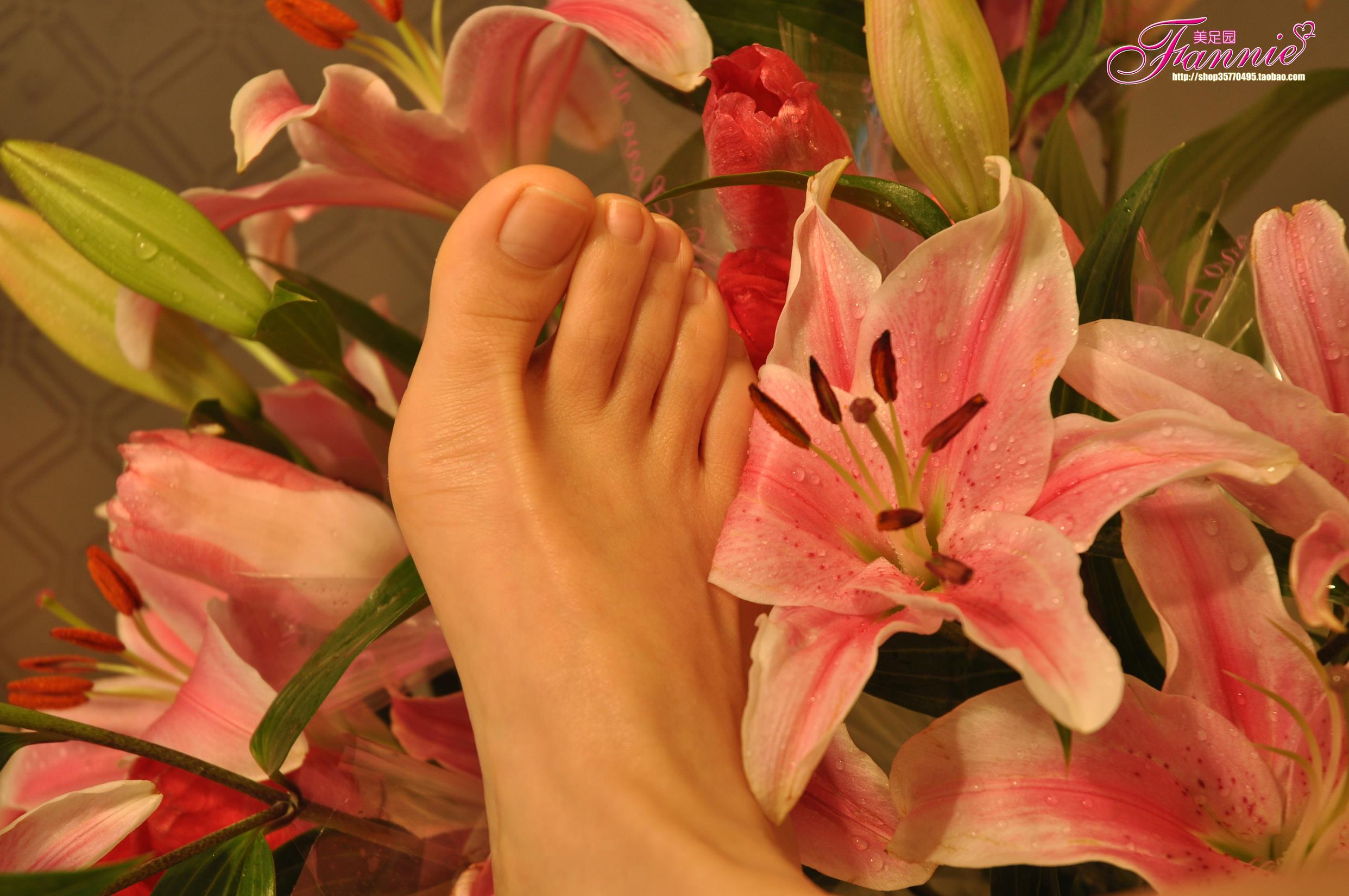 图片[21]-Fannie芬妮每足园 No.560 夜的乐章7[24P] – 速更版-美库