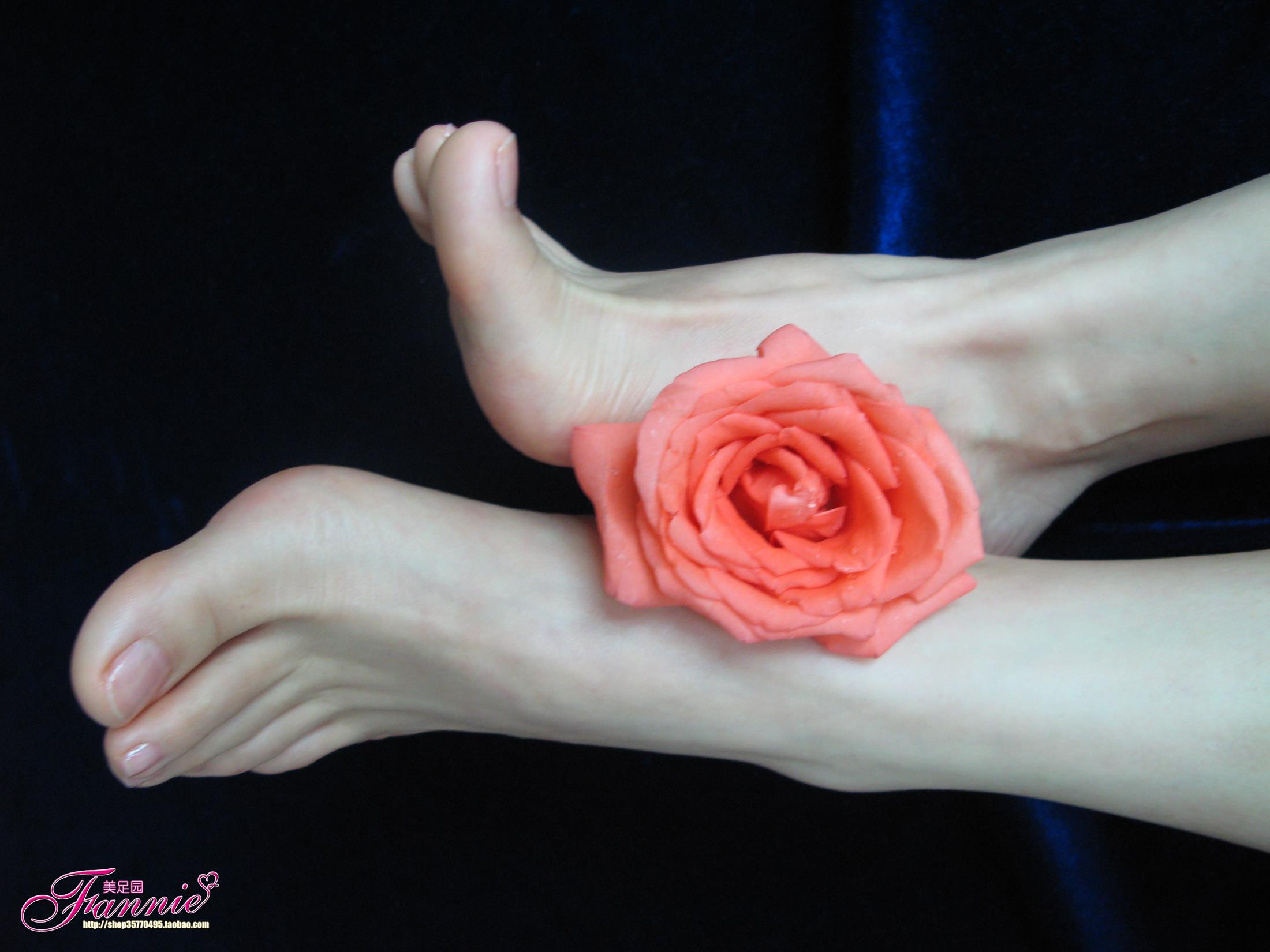 图片[11]-Fannie芬妮每足园 No.564 一个人的浪漫 落花寻梦[31P] – 速更版-美库