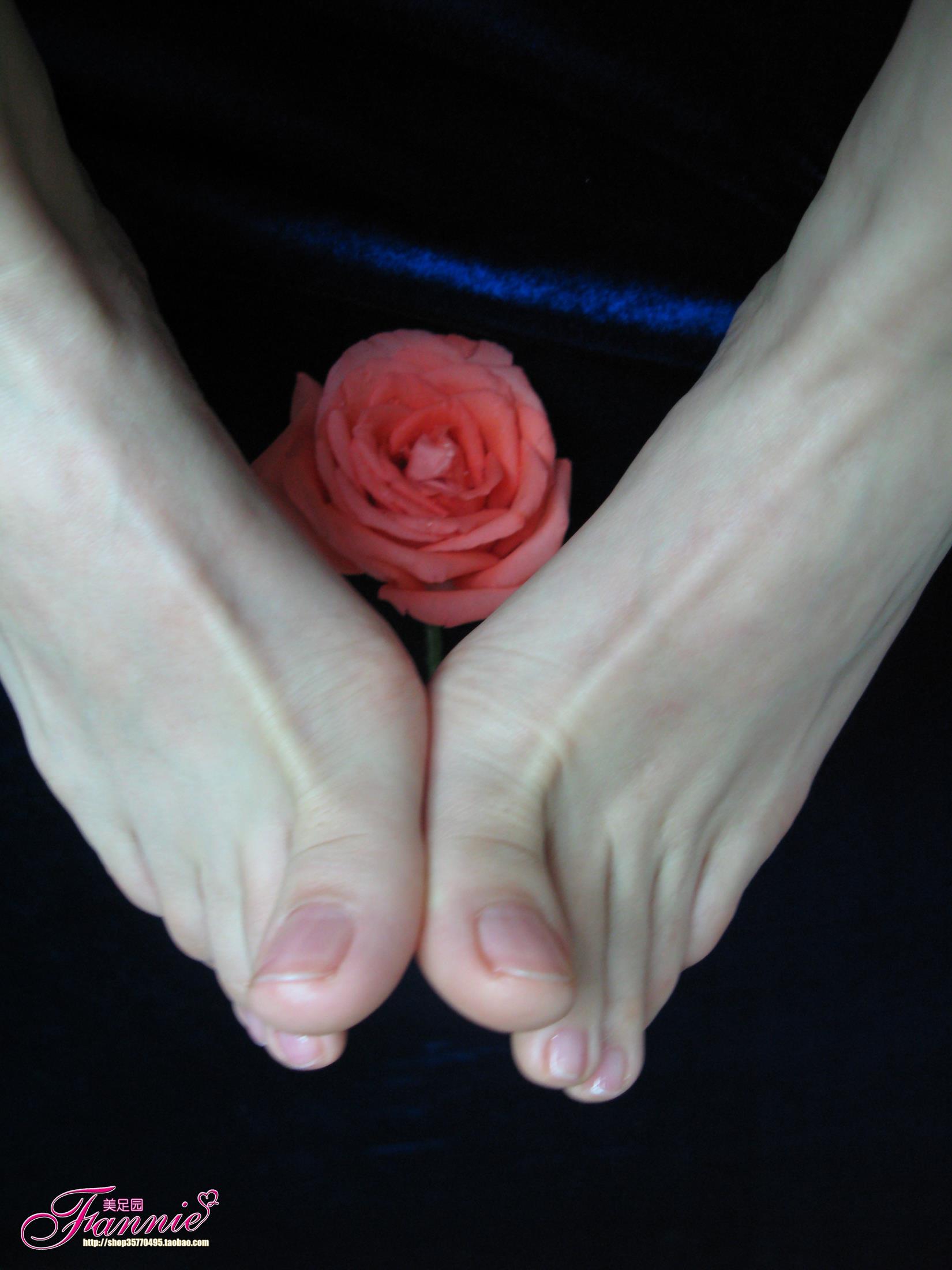 图片[15]-Fannie芬妮每足园 No.564 一个人的浪漫 落花寻梦[31P] – 速更版-美库