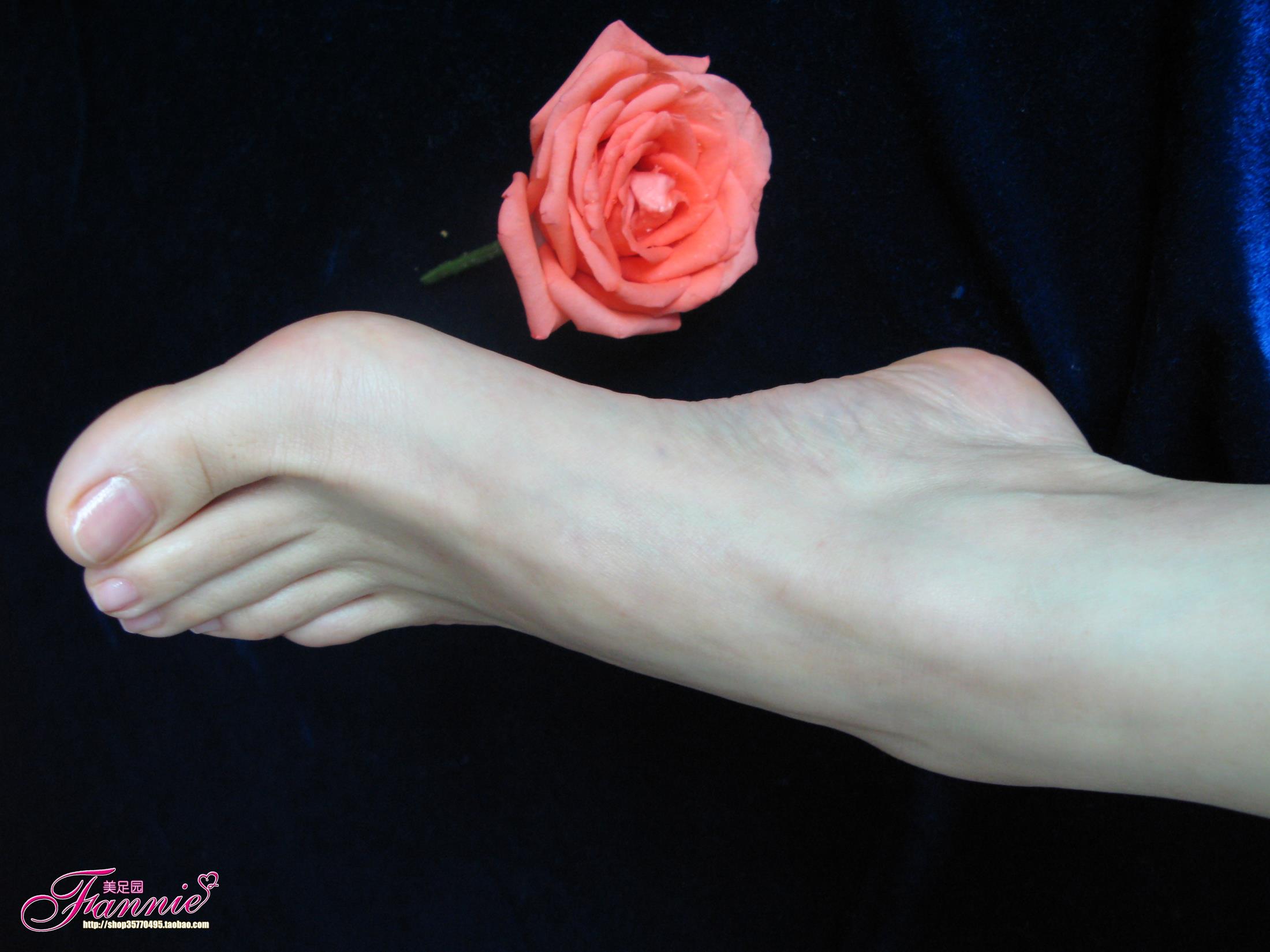 图片[21]-Fannie芬妮每足园 No.564 一个人的浪漫 落花寻梦[31P] – 速更版-美库