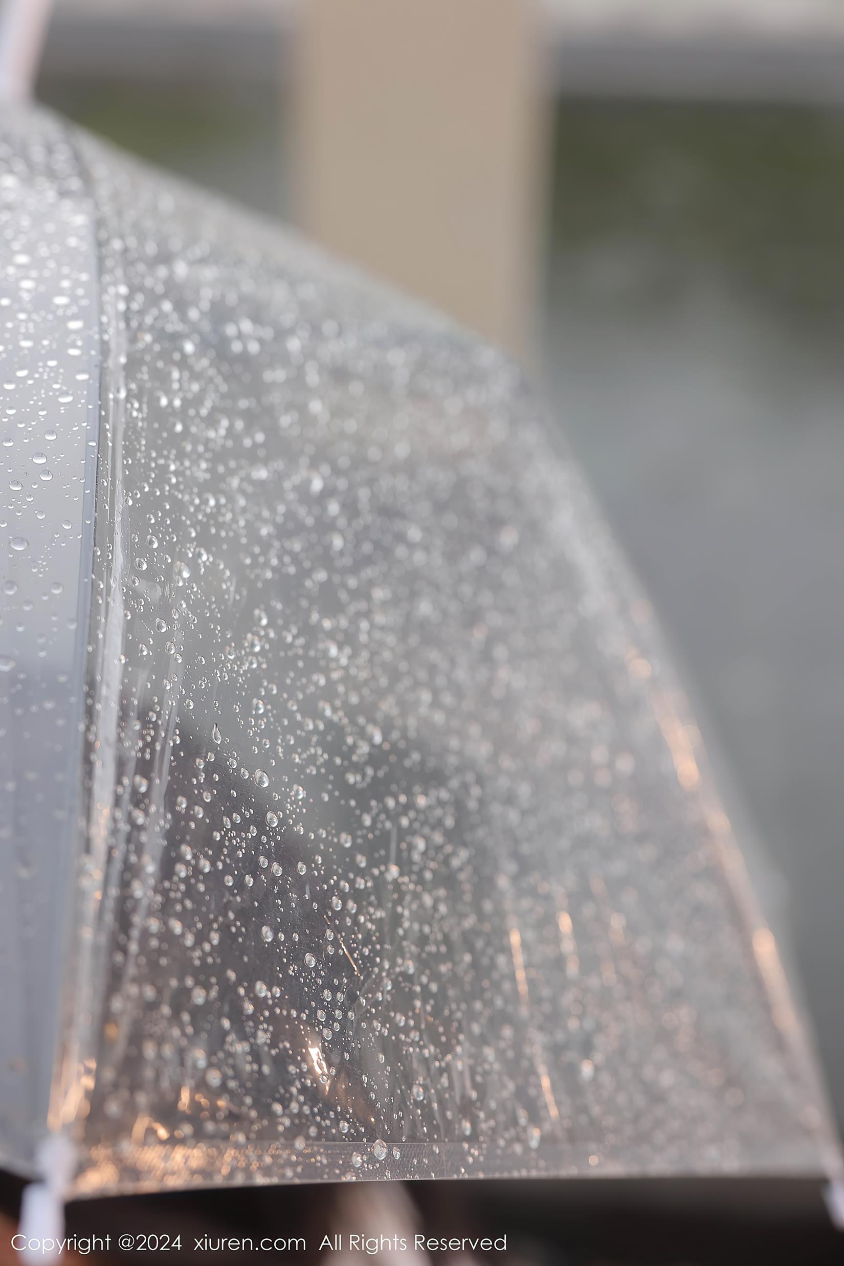 图片[10]-[Xiuren秀人网]2024.07.19 NO.8885 桃妖夭[8+1P] – 速更版-美库