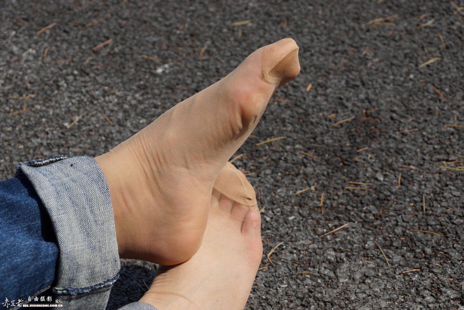 图片[37]-自由摄影 No.269 如此淡定的玩弄着自己的丝族 [53P] – 速更版-美库