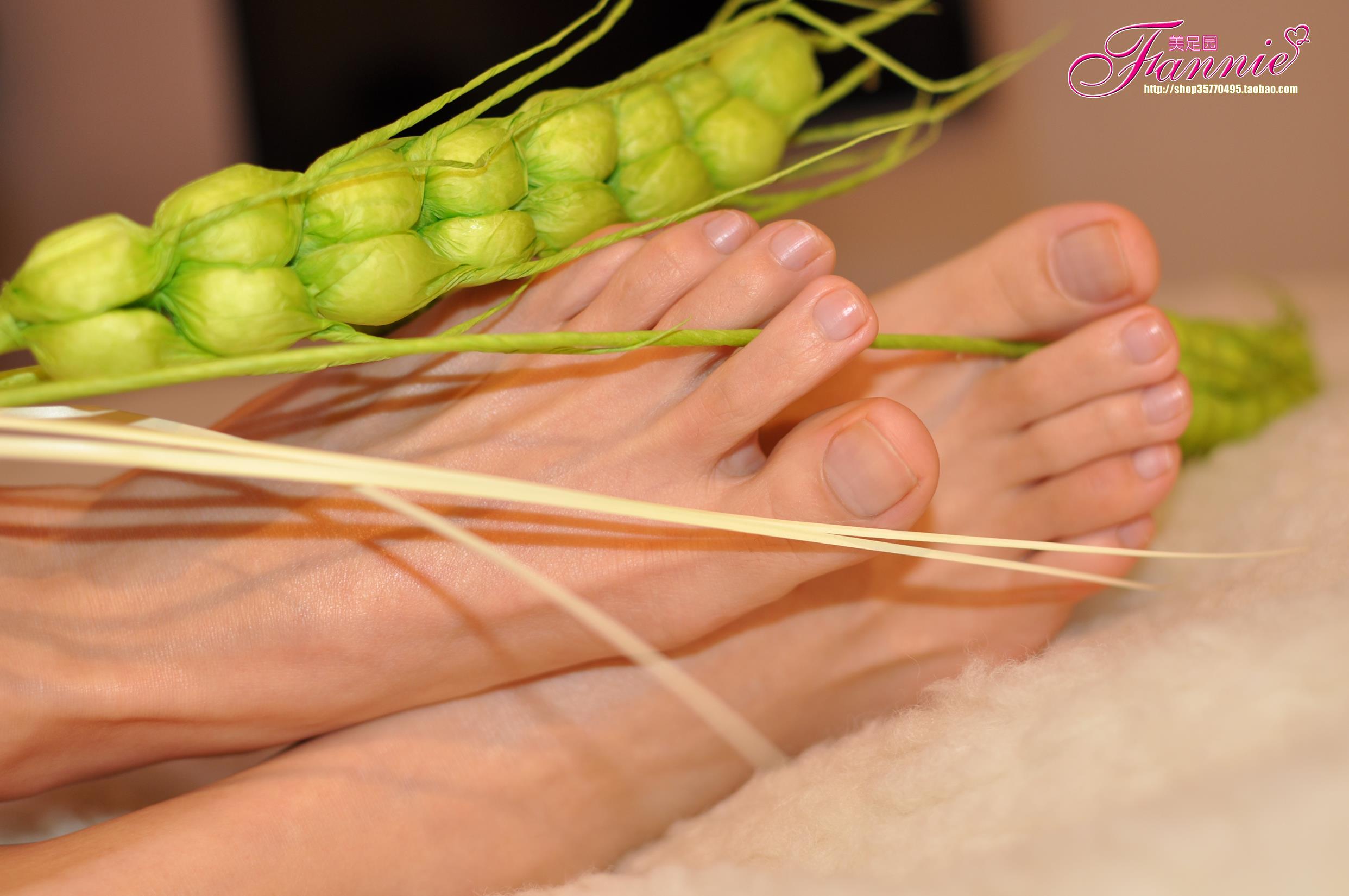 图片[25]-Fannie芬妮每足园 No.579 玉趾如蚕向花语4[95P] – 速更版-美库