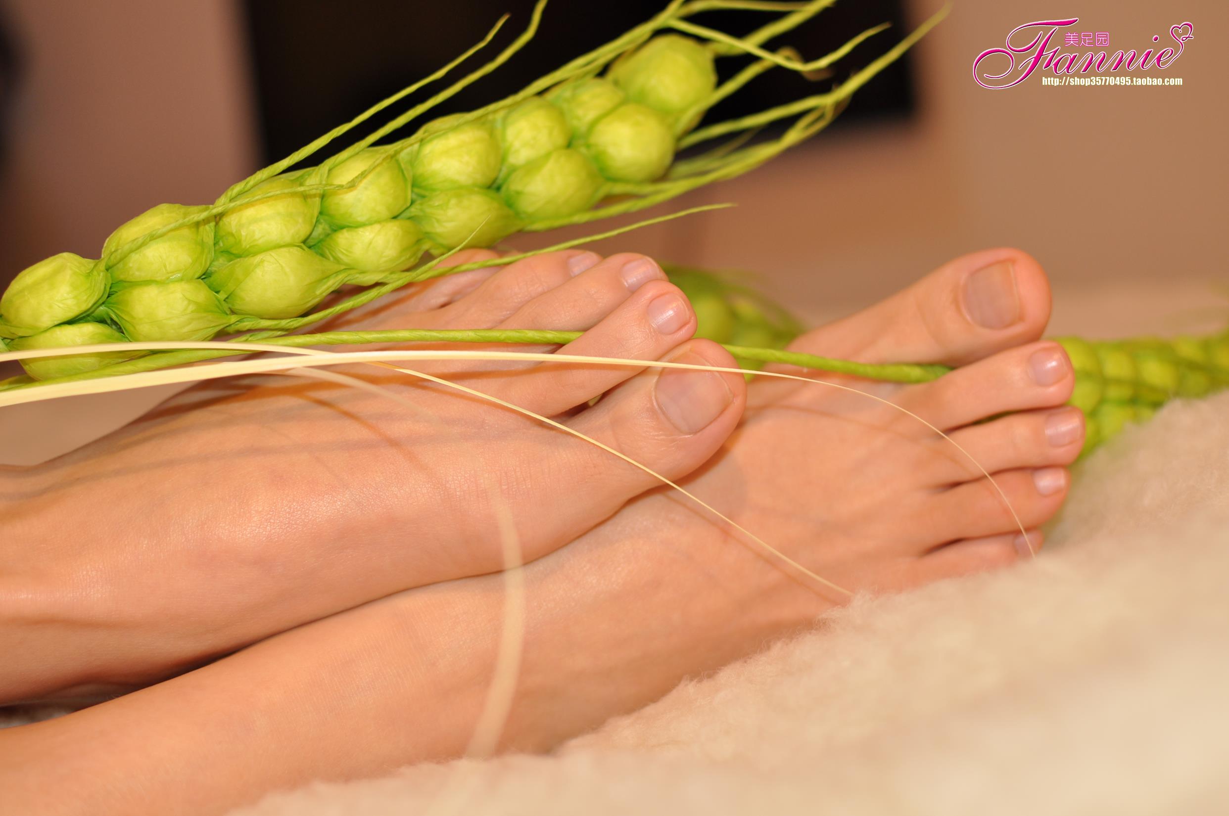 图片[28]-Fannie芬妮每足园 No.579 玉趾如蚕向花语4[95P] – 速更版-美库