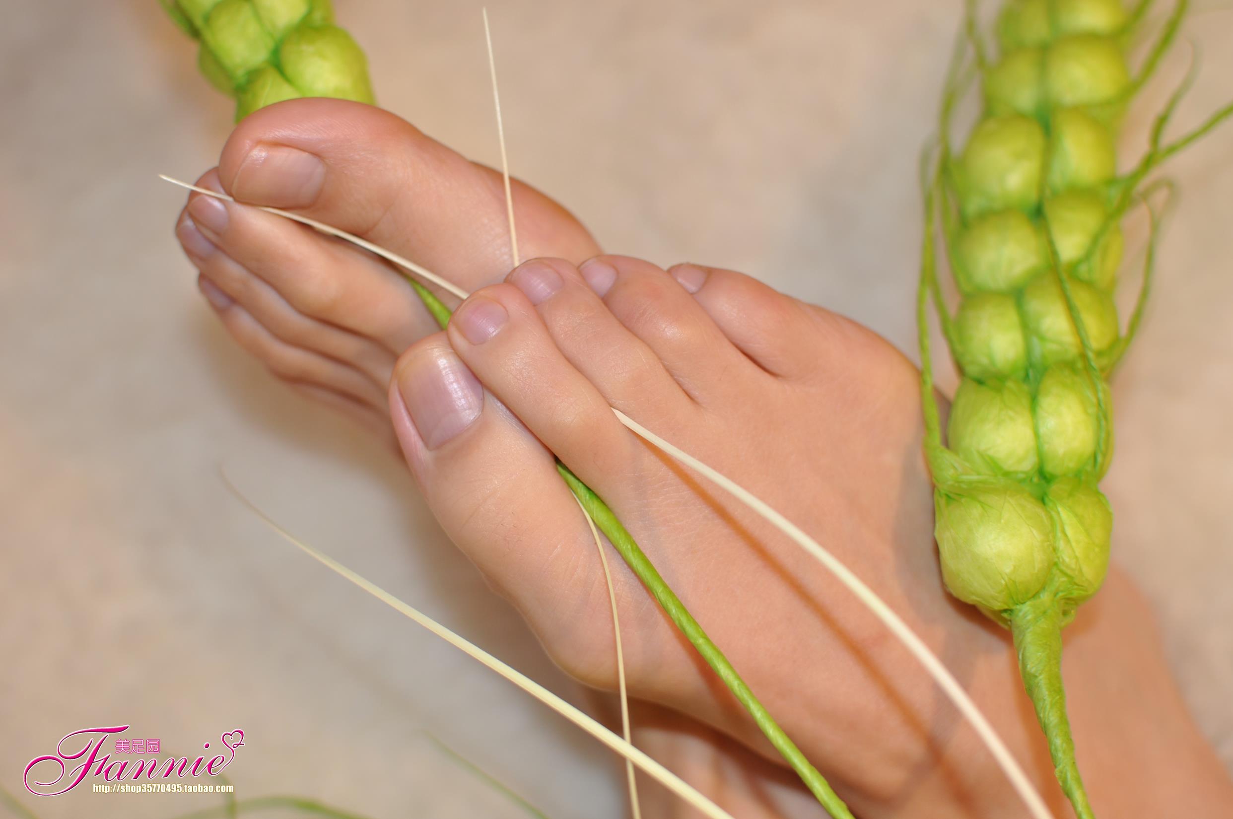 图片[34]-Fannie芬妮每足园 No.579 玉趾如蚕向花语4[95P] – 速更版-美库