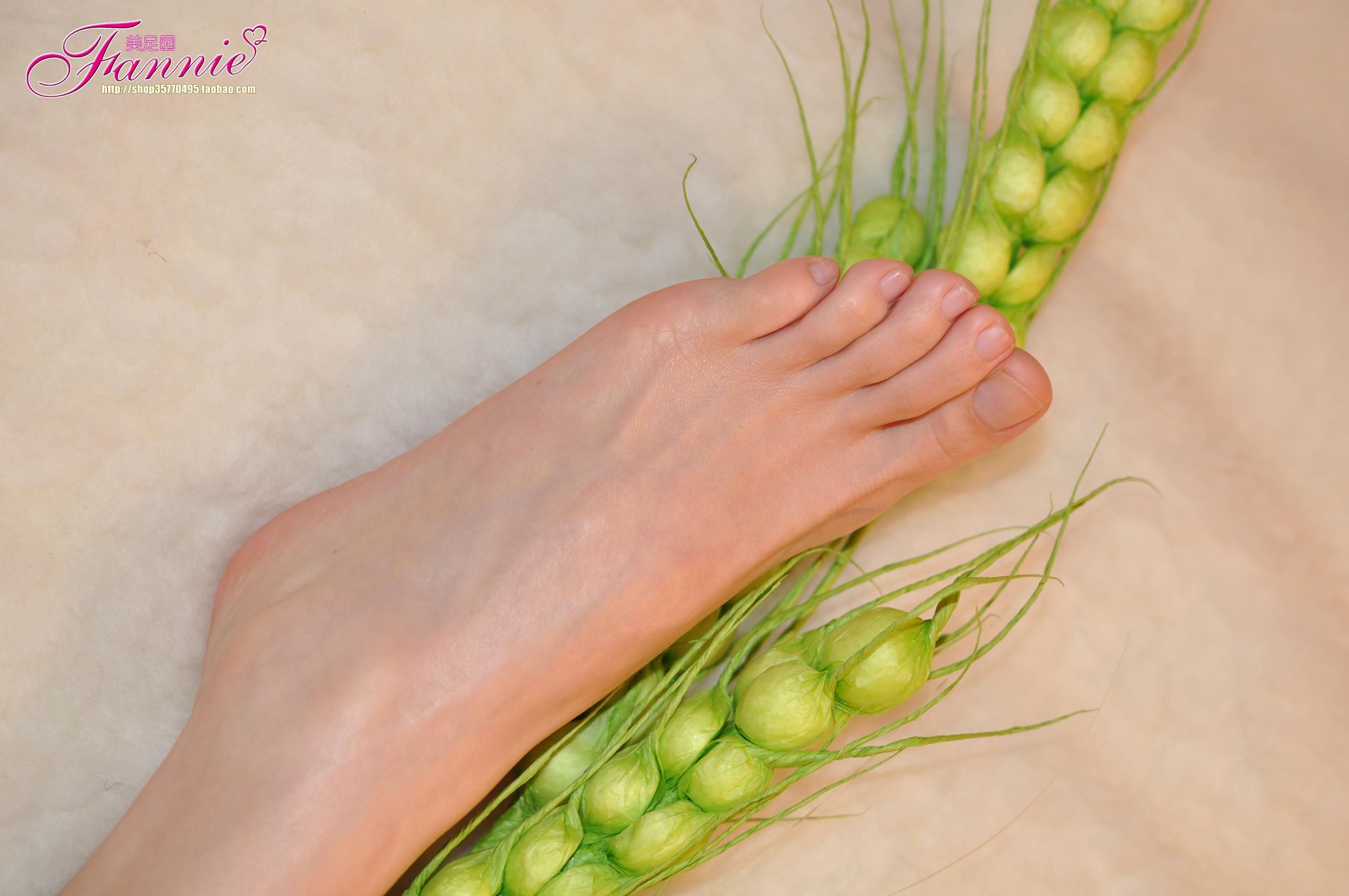 图片[35]-Fannie芬妮每足园 No.579 玉趾如蚕向花语4[95P] – 速更版-美库