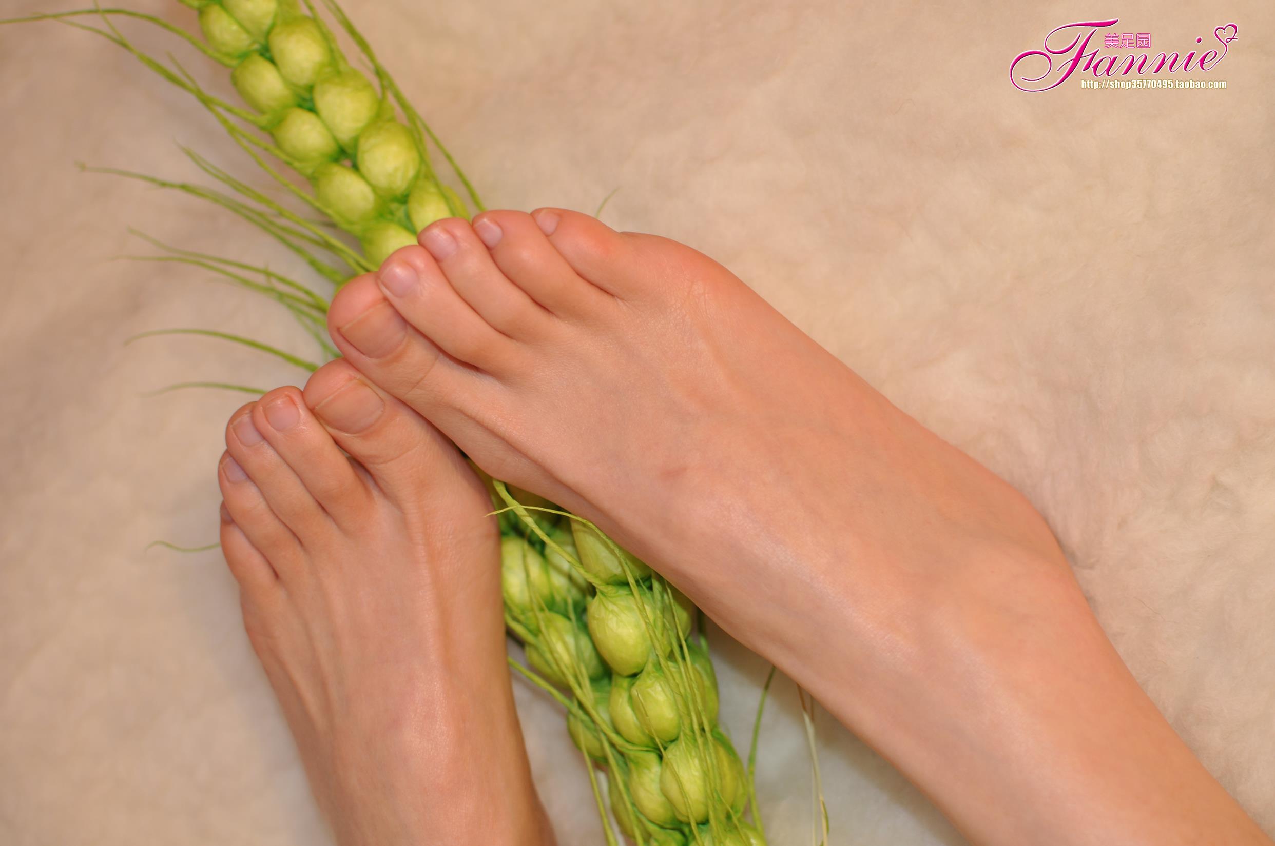 图片[37]-Fannie芬妮每足园 No.579 玉趾如蚕向花语4[95P] – 速更版-美库