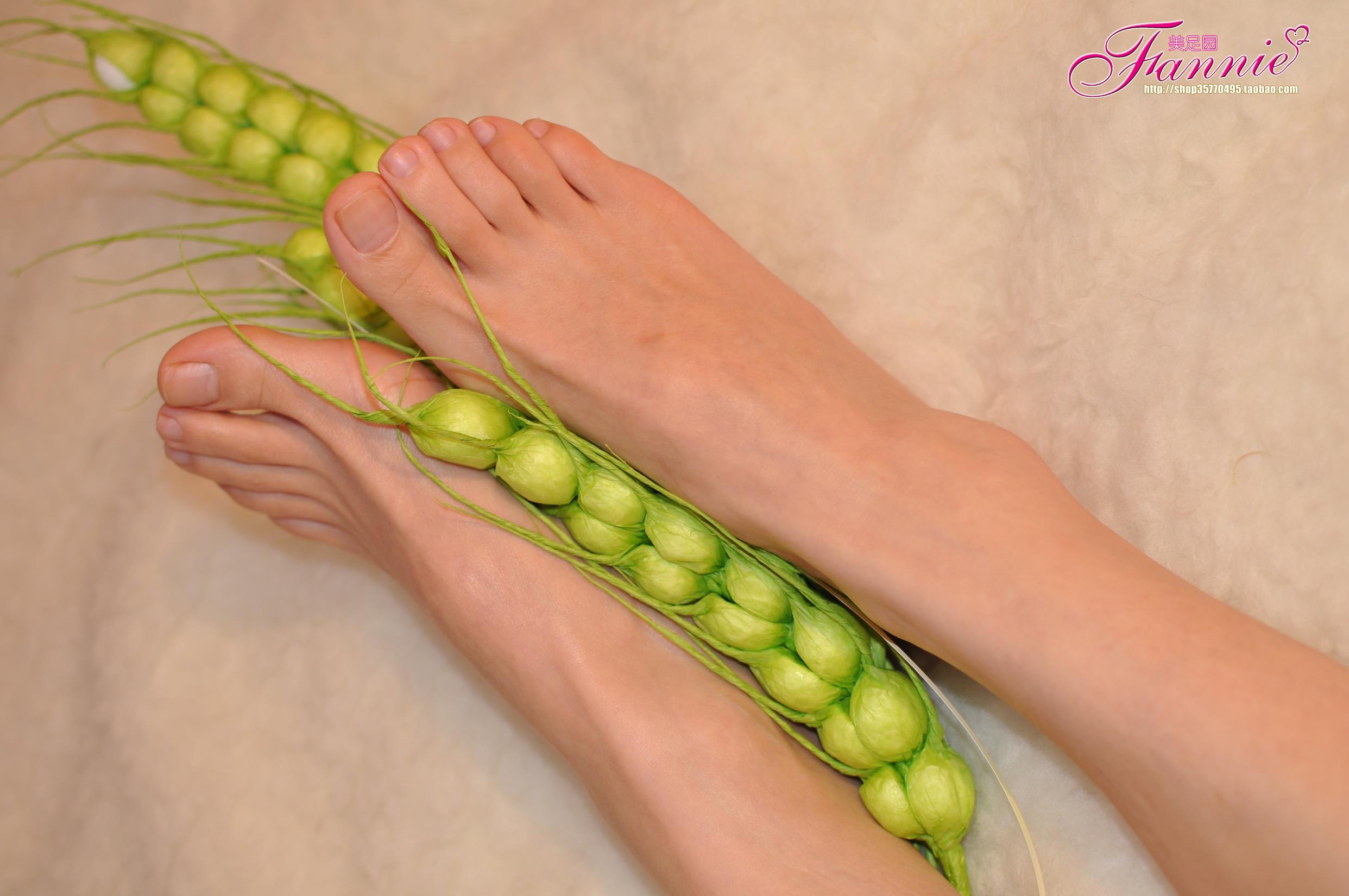 图片[43]-Fannie芬妮每足园 No.579 玉趾如蚕向花语4[95P] – 速更版-美库