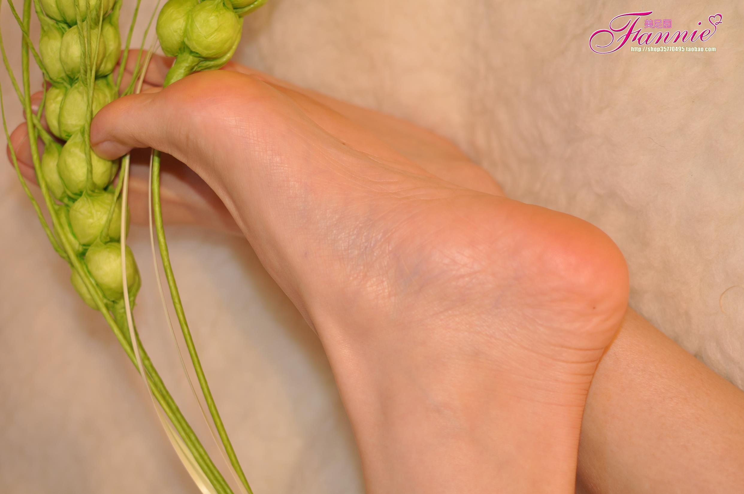 图片[53]-Fannie芬妮每足园 No.579 玉趾如蚕向花语4[95P] – 速更版-美库