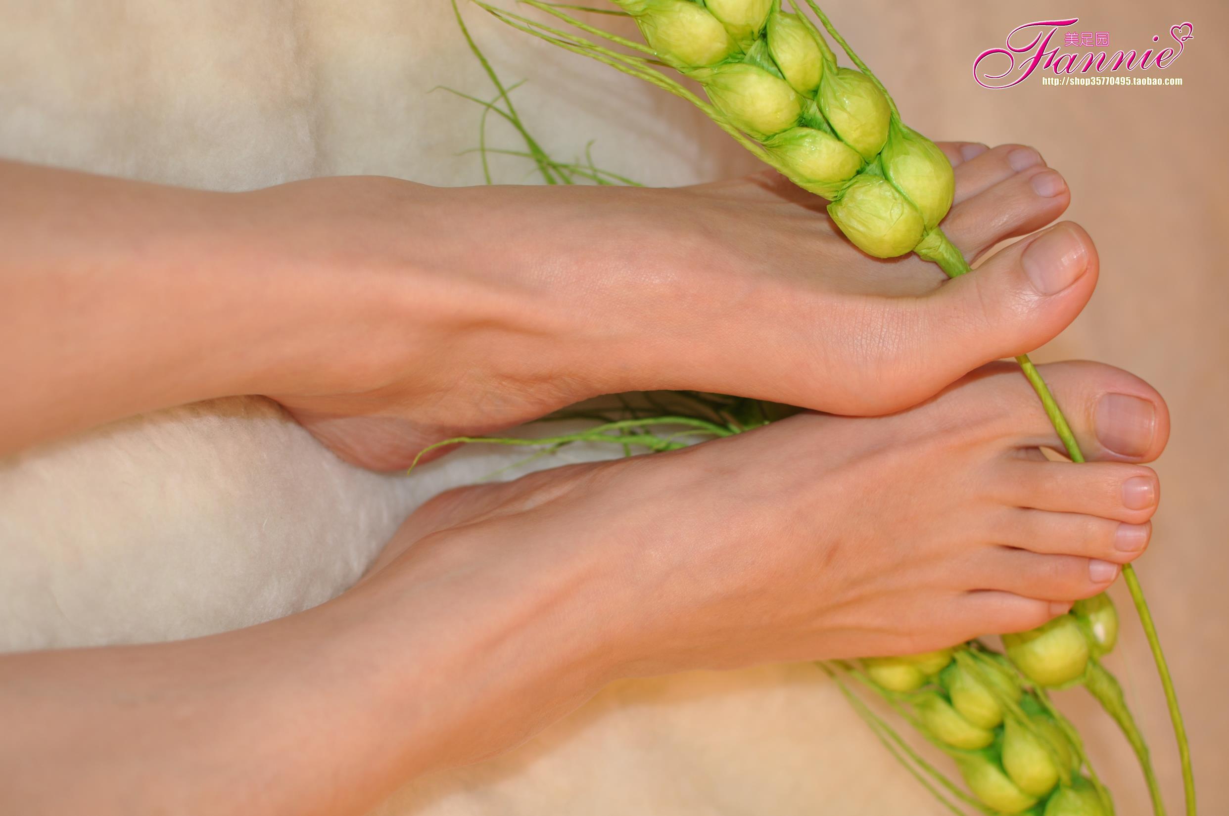 图片[68]-Fannie芬妮每足园 No.579 玉趾如蚕向花语4[95P] – 速更版-美库
