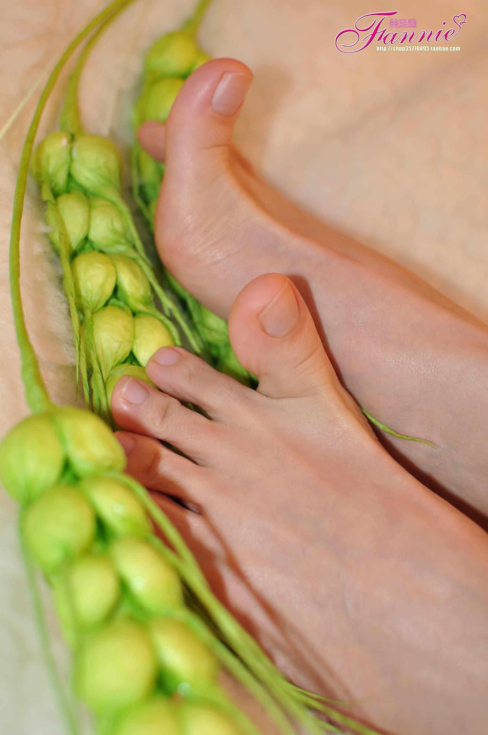 图片[79]-Fannie芬妮每足园 No.579 玉趾如蚕向花语4[95P] – 速更版-美库