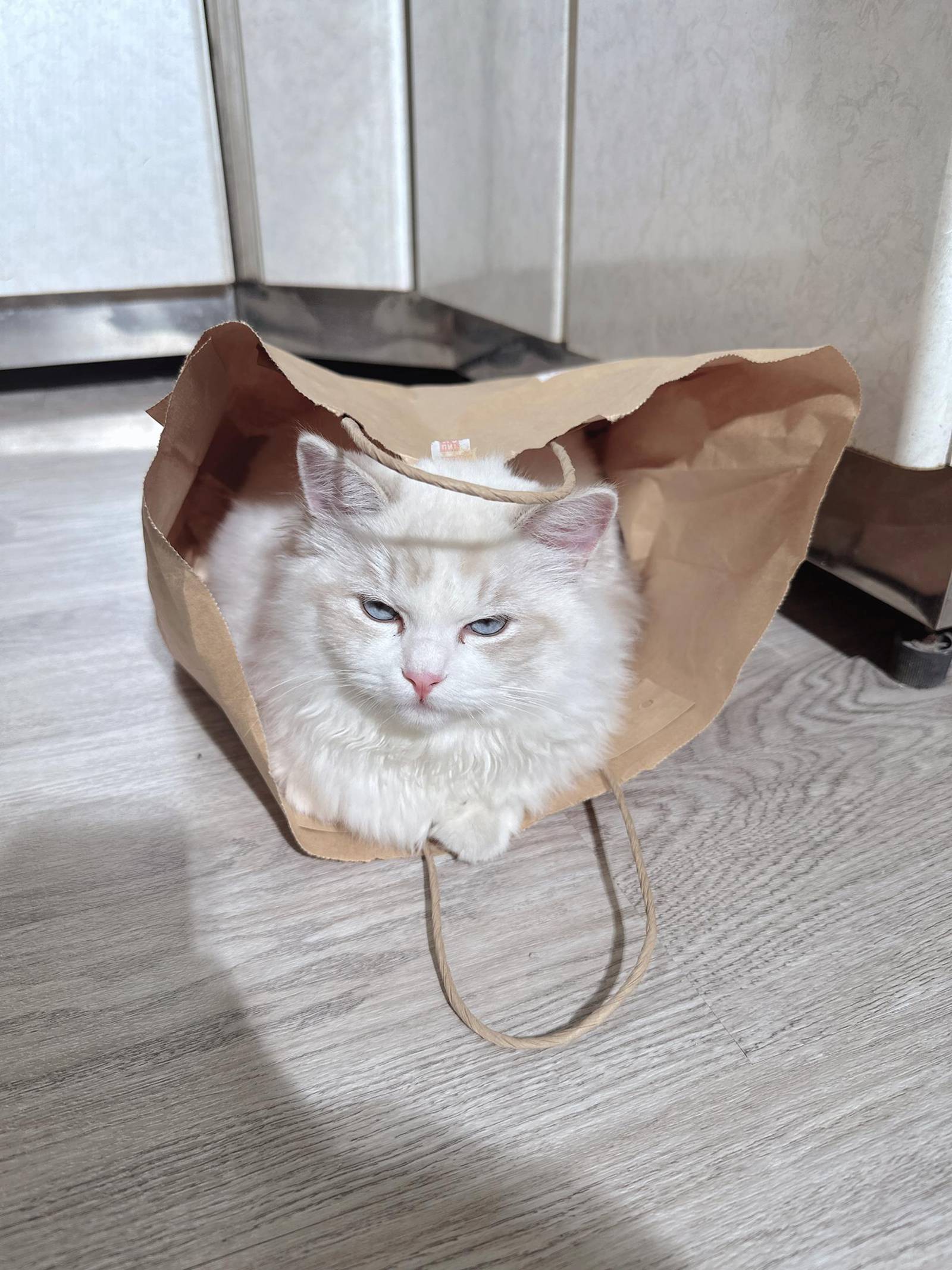 图片[89]-泥泥汝  – 居家[110P] – 速更版-美库