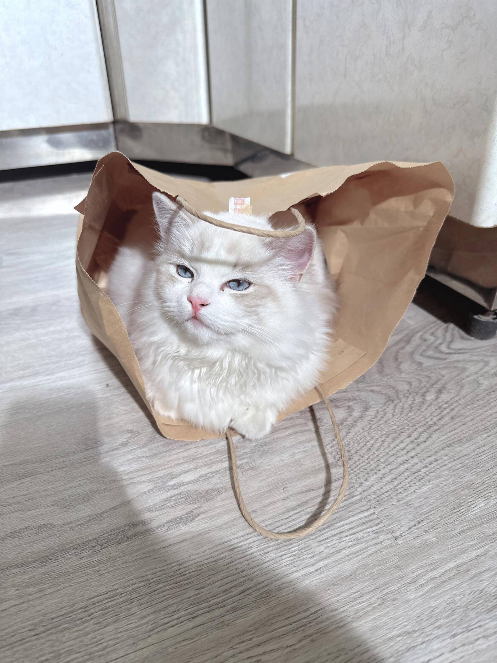 图片[100]-泥泥汝  – 居家[110P] – 速更版-美库