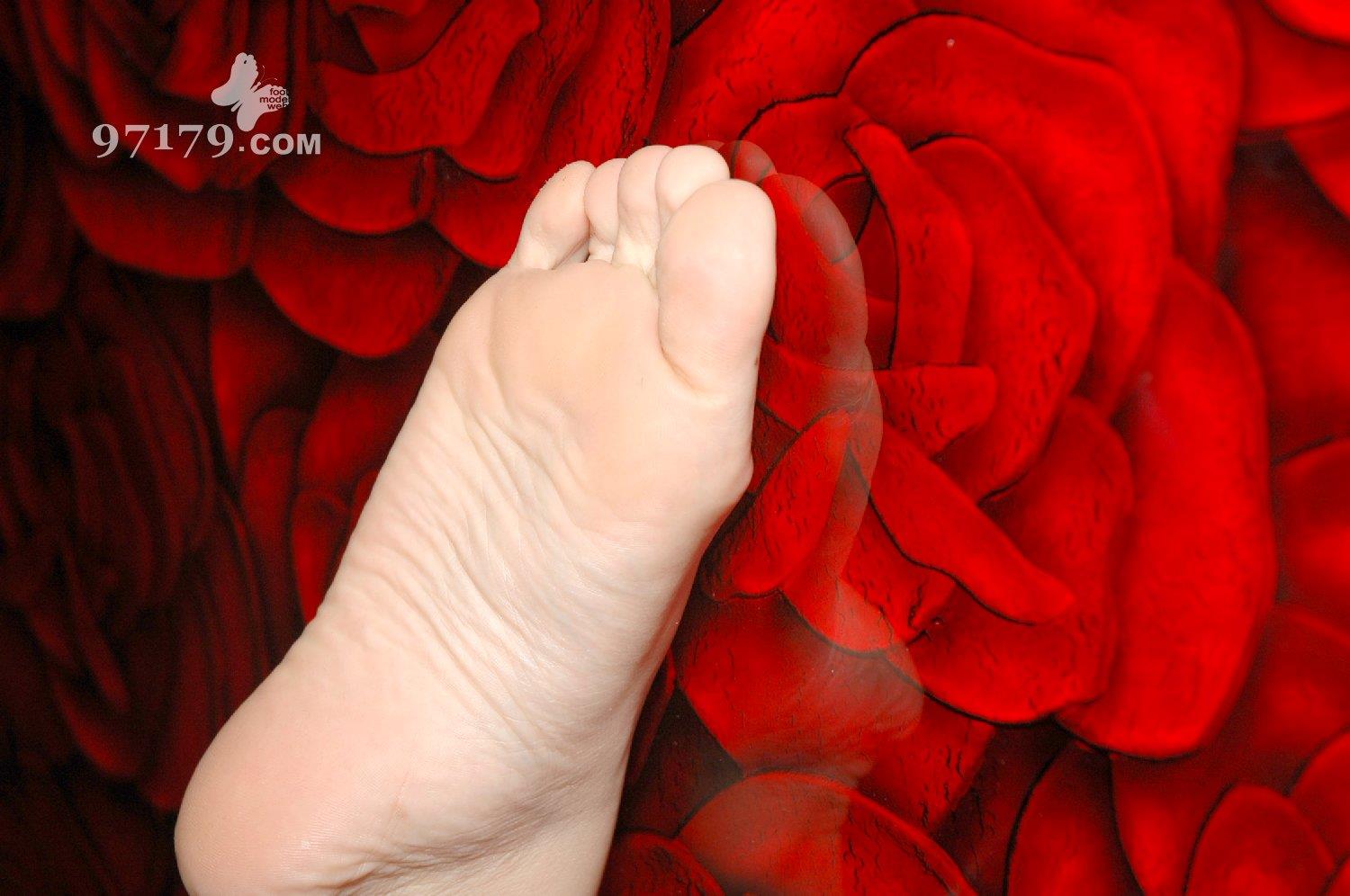 图片[11]-97179 NO.016-Candy[24P] – 速更版-美库