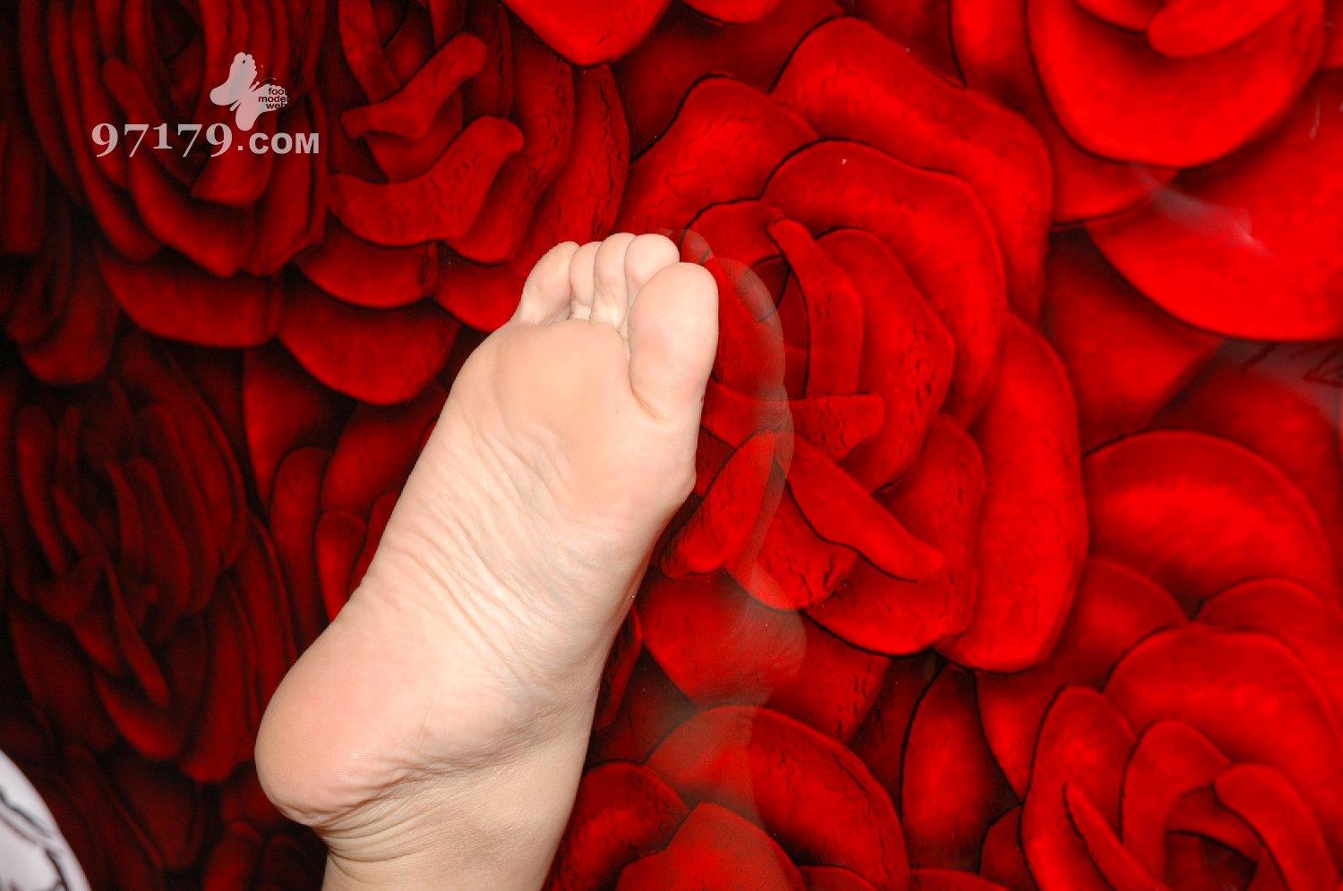 图片[12]-97179 NO.016-Candy[24P] – 速更版-美库