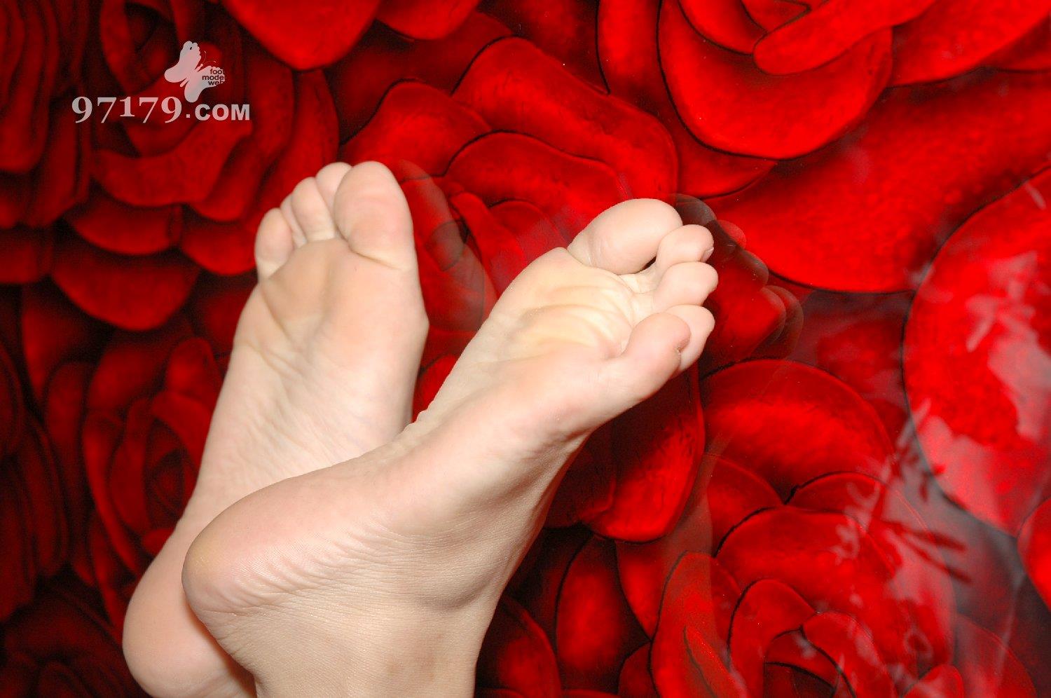 图片[14]-97179 NO.016-Candy[24P] – 速更版-美库