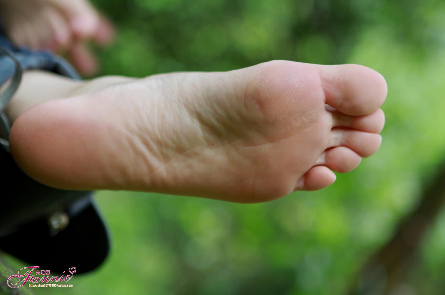 图片[65]-Fannie芬妮每足园 No.590 在水一方2[78P] – 速更版-美库