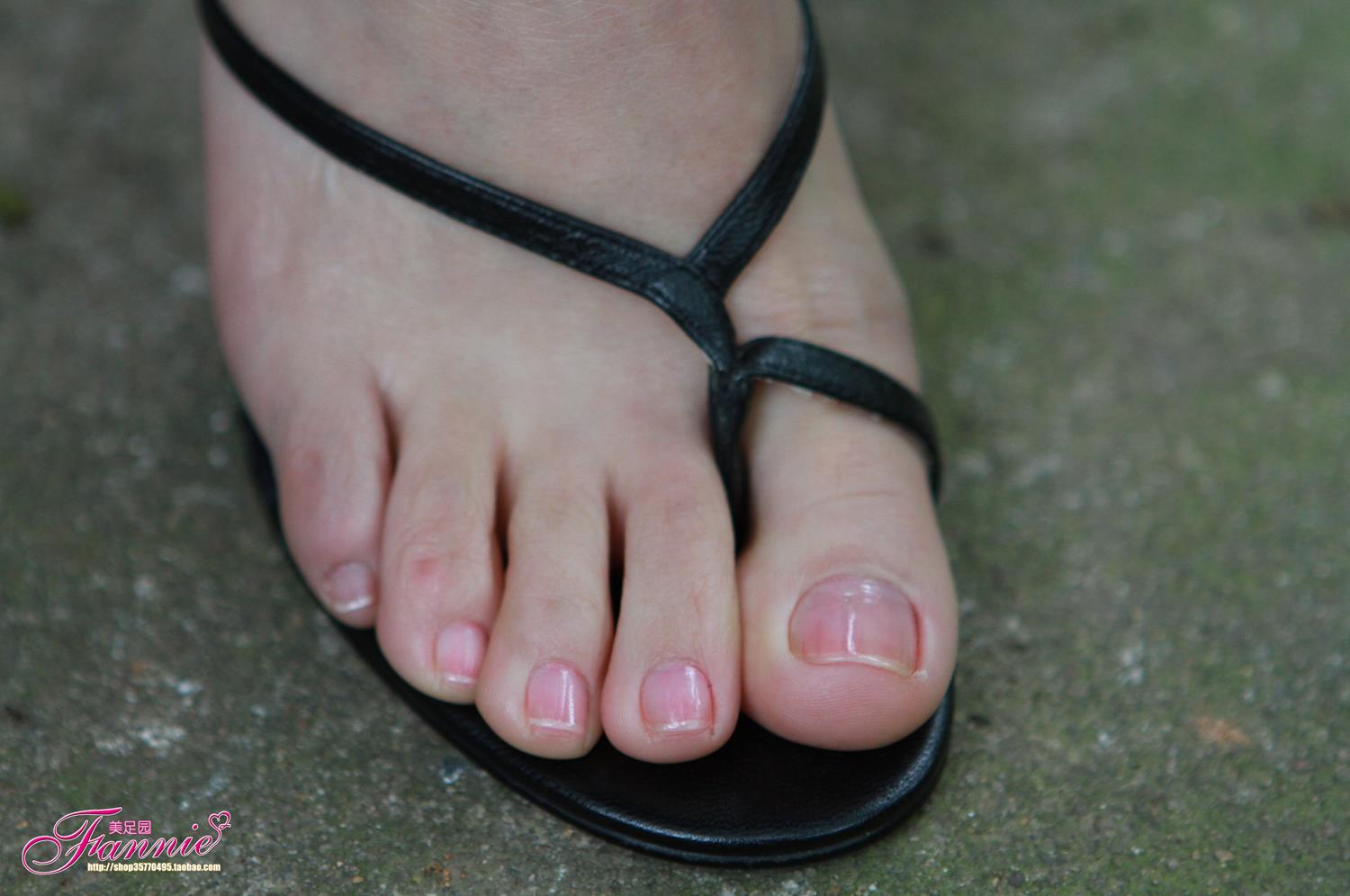 图片[45]-Fannie芬妮每足园 No.592 在水一方4[46P] – 速更版-美库