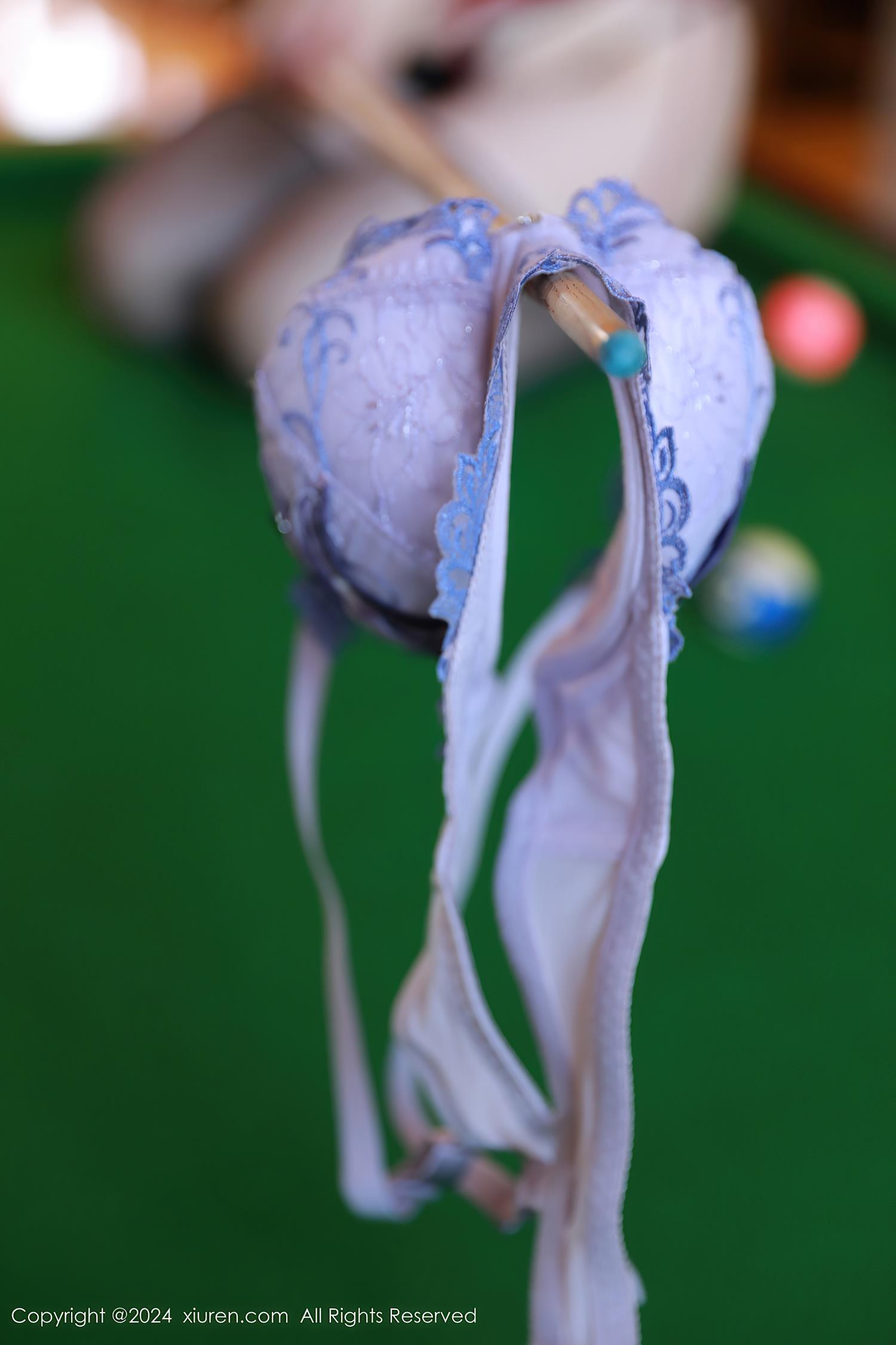 图片[14]-[Xiuren秀人网]2024.07.31 NO.8946 白茹雪abby[20+1P] – 速更版-美库