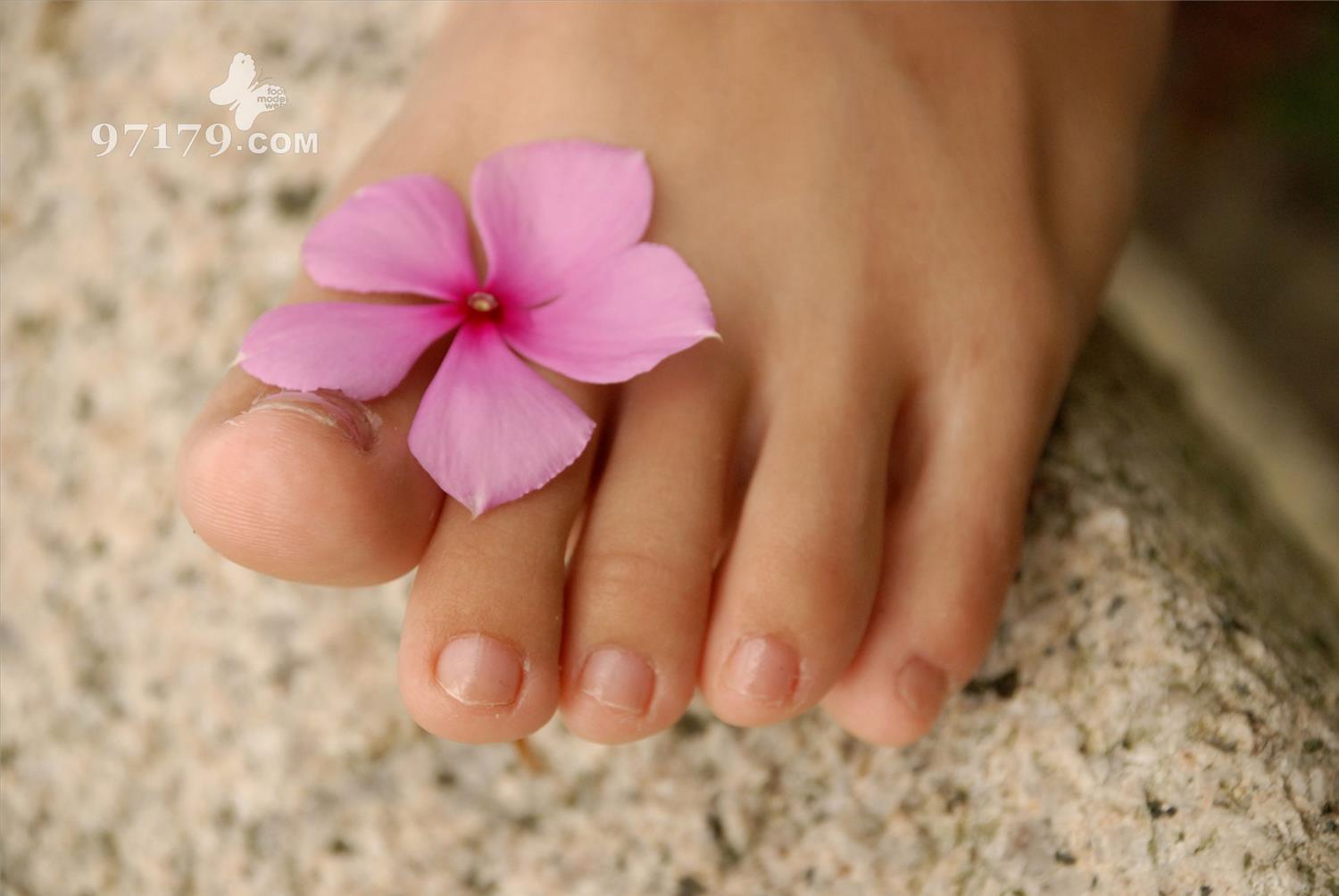 图片[29]-97179 NO.018 -Candy[41P] – 速更版-美库