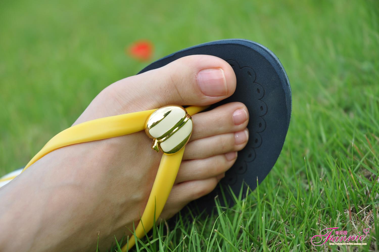 图片[37]-Fannie芬妮每足园 No.606 周末踏青2[60P] – 速更版-美库