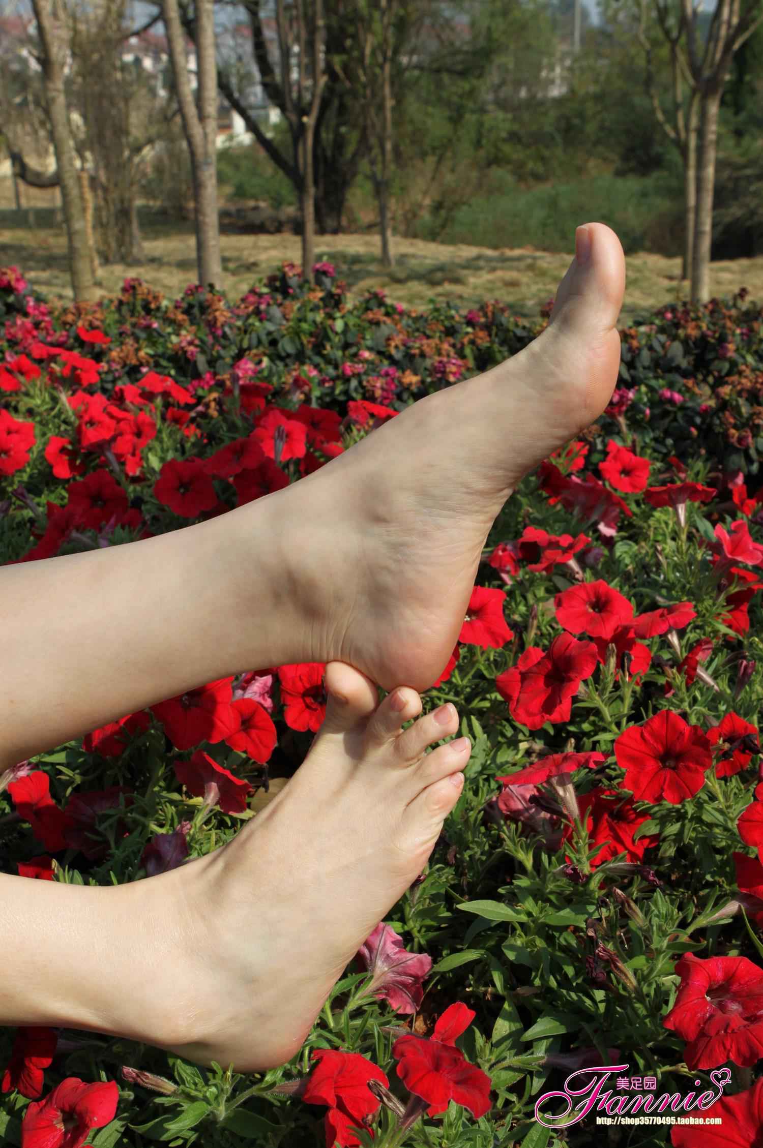 图片[18]-Fannie芬妮每足园 No.628 醉花荫[57P] – 速更版-美库