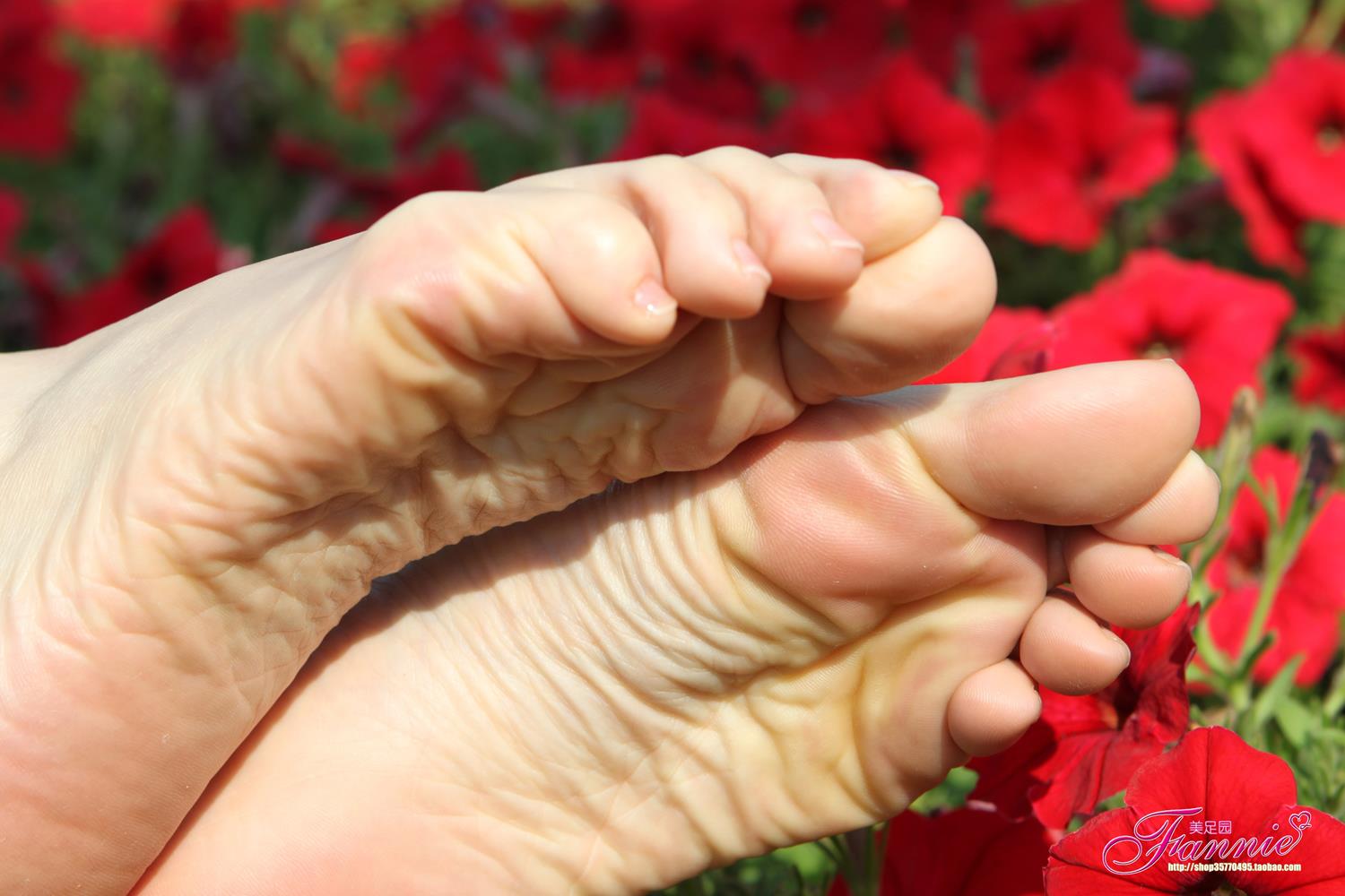 图片[22]-Fannie芬妮每足园 No.628 醉花荫[57P] – 速更版-美库