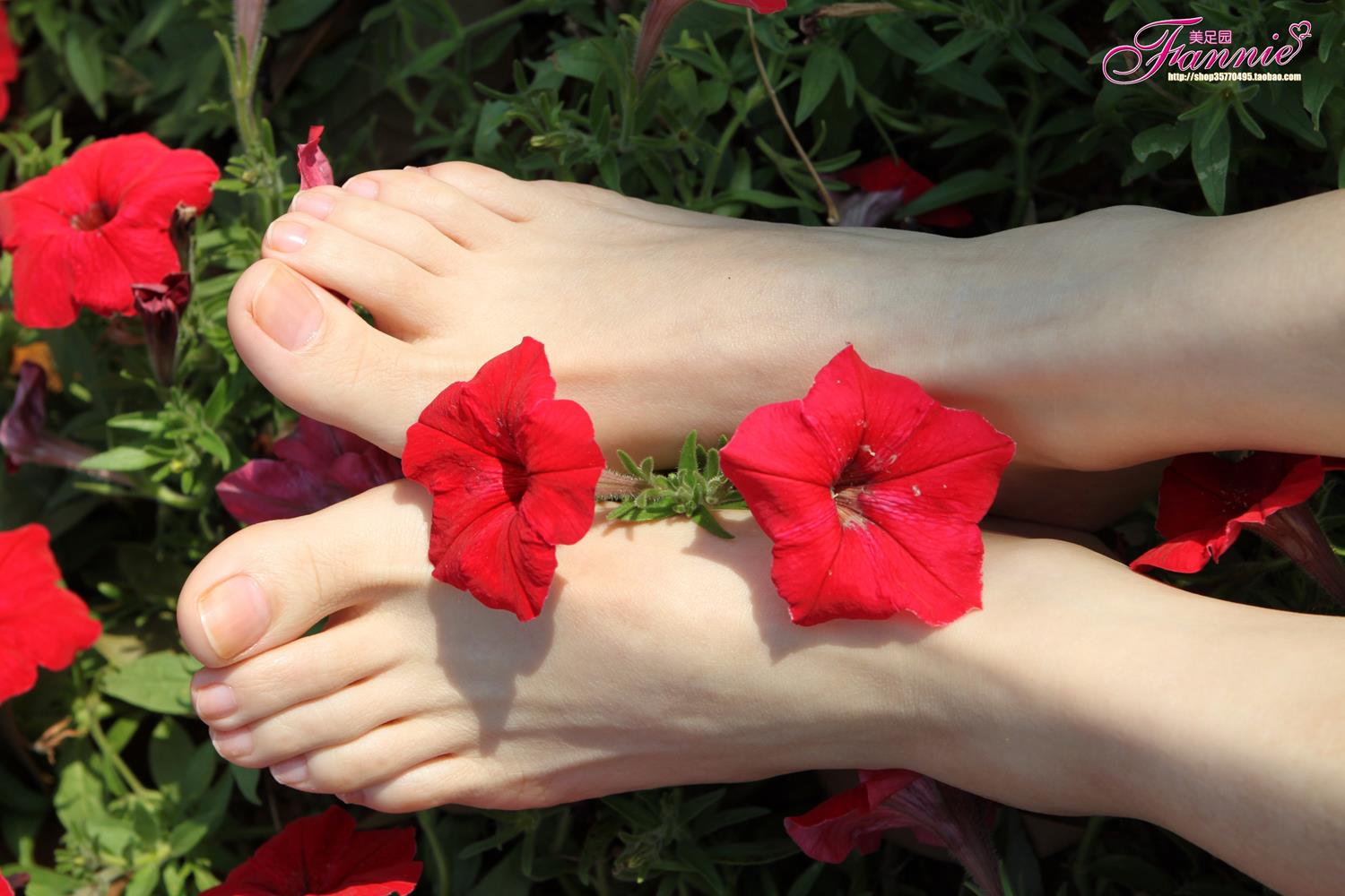 图片[40]-Fannie芬妮每足园 No.628 醉花荫[57P] – 速更版-美库