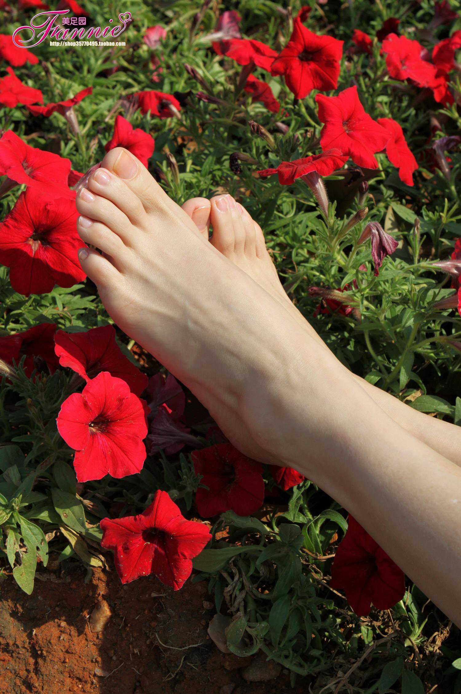 图片[56]-Fannie芬妮每足园 No.628 醉花荫[57P] – 速更版-美库