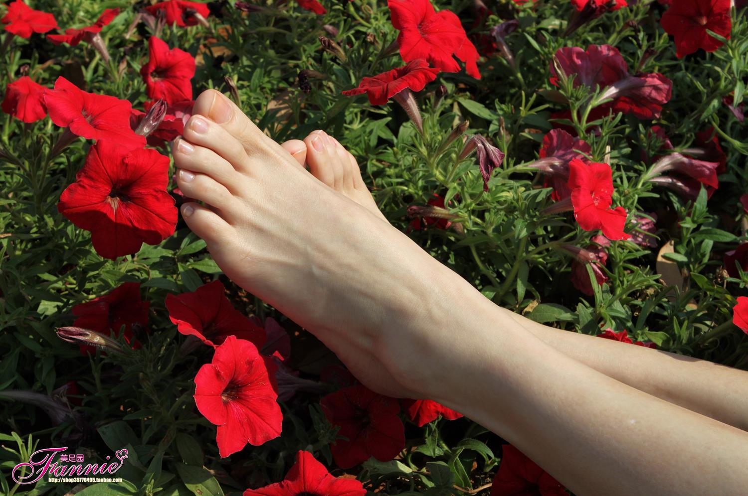 图片[57]-Fannie芬妮每足园 No.628 醉花荫[57P] – 速更版-美库