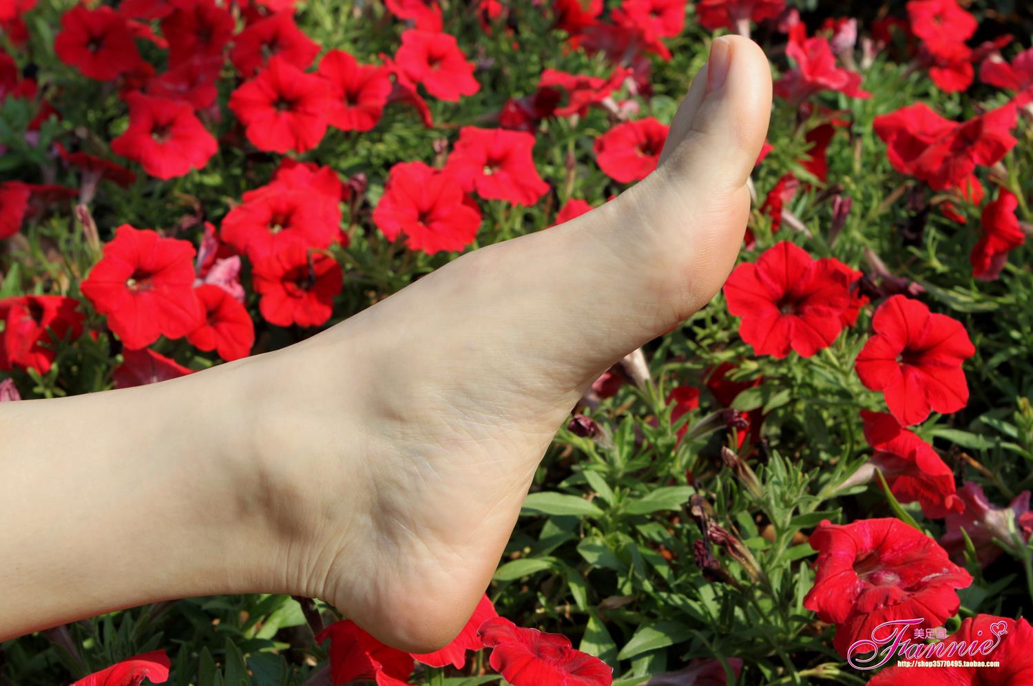 图片[58]-Fannie芬妮每足园 No.628 醉花荫[57P] – 速更版-美库