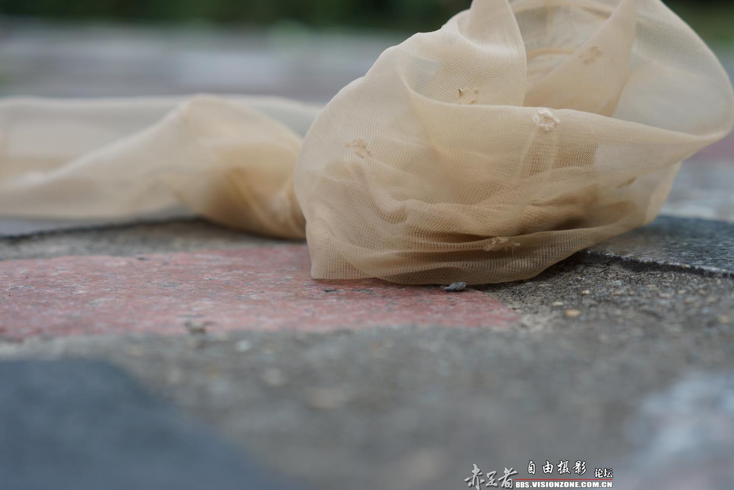 图片[53]-自由摄影 No.288 学霸 午后晾丝族 [53P] – 速更版-美库