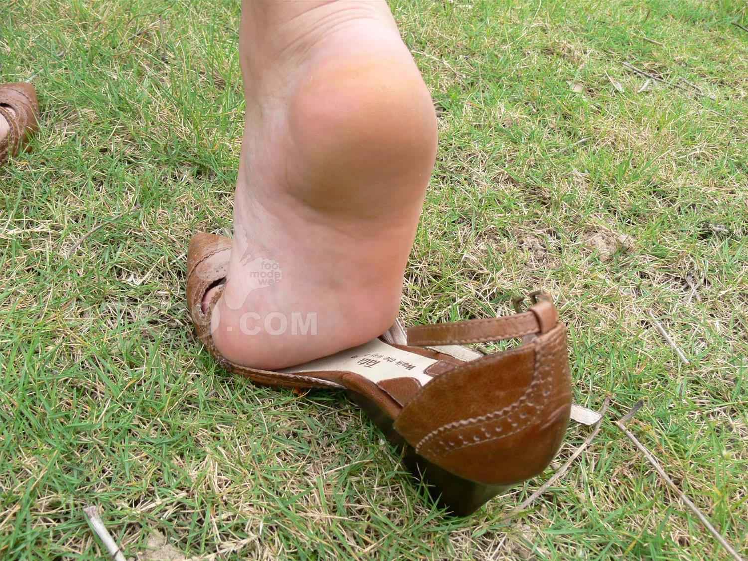 图片[103]-97179 NO.006-joyce [106P] – 速更版-美库