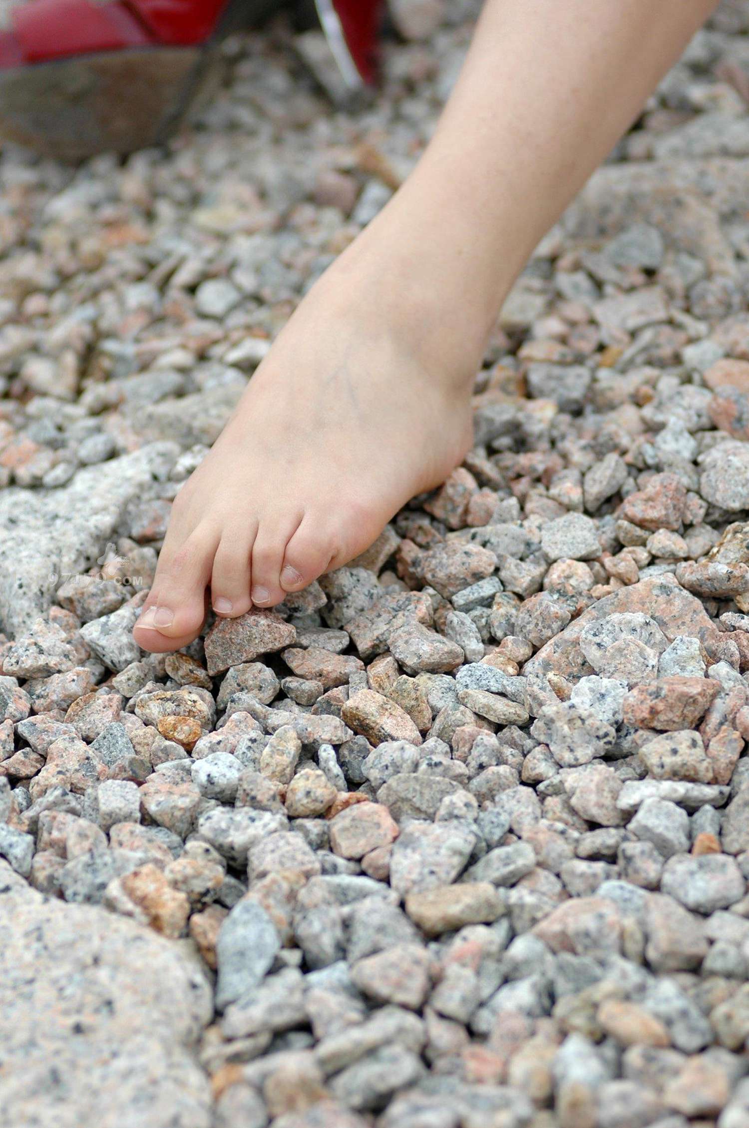 图片[102]-97179 NO.009-joyce [135P] – 速更版-美库