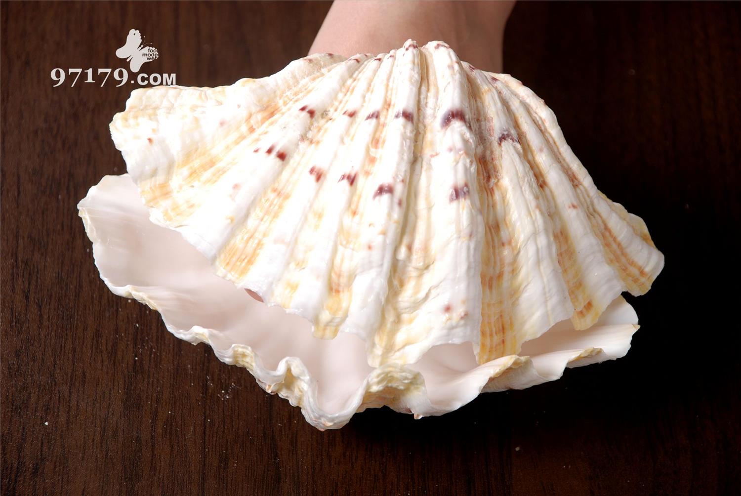 图片[14]-97179 NO.020-joyce [39P] – 速更版-美库