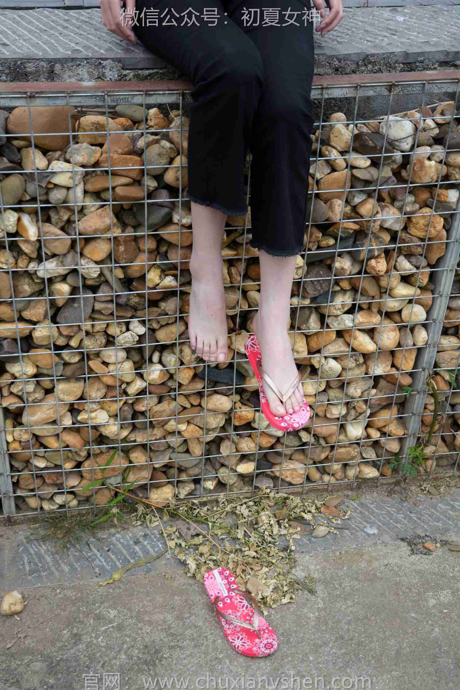 图片[70]-初夏女神 NO.208 安妮 炎炎夏日[127P] – 速更版-美库