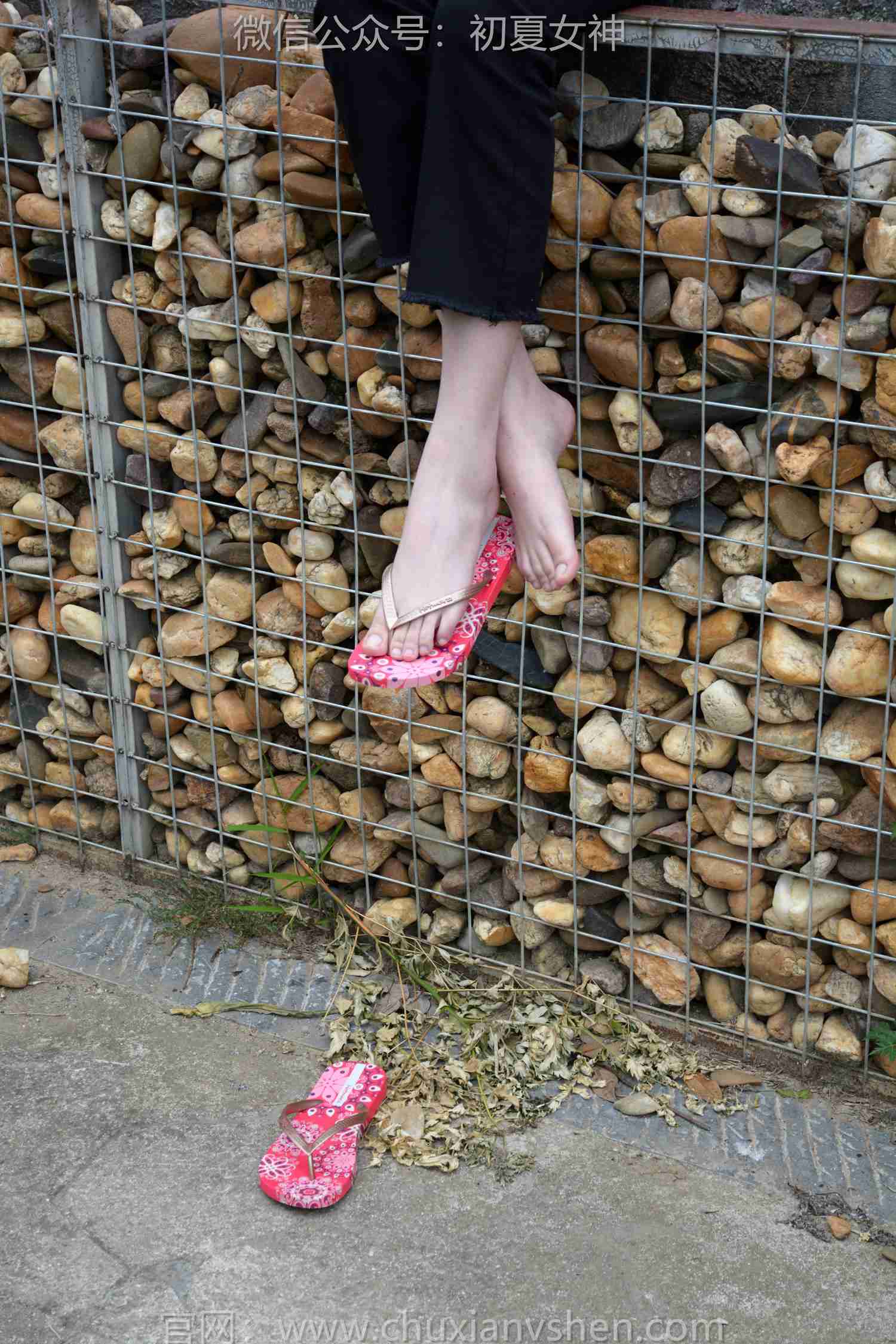 图片[72]-初夏女神 NO.208 安妮 炎炎夏日[127P] – 速更版-美库