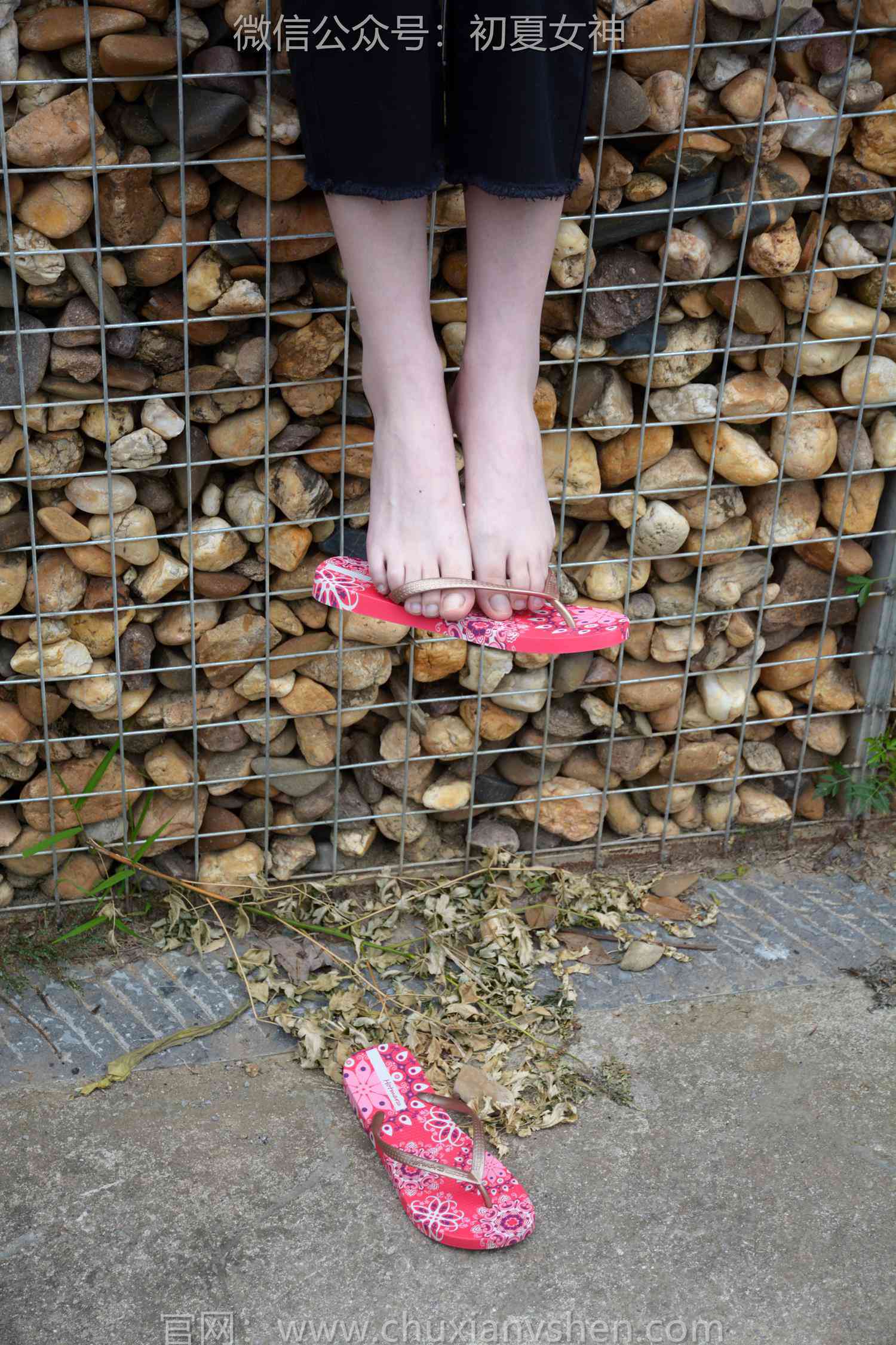 图片[73]-初夏女神 NO.208 安妮 炎炎夏日[127P] – 速更版-美库