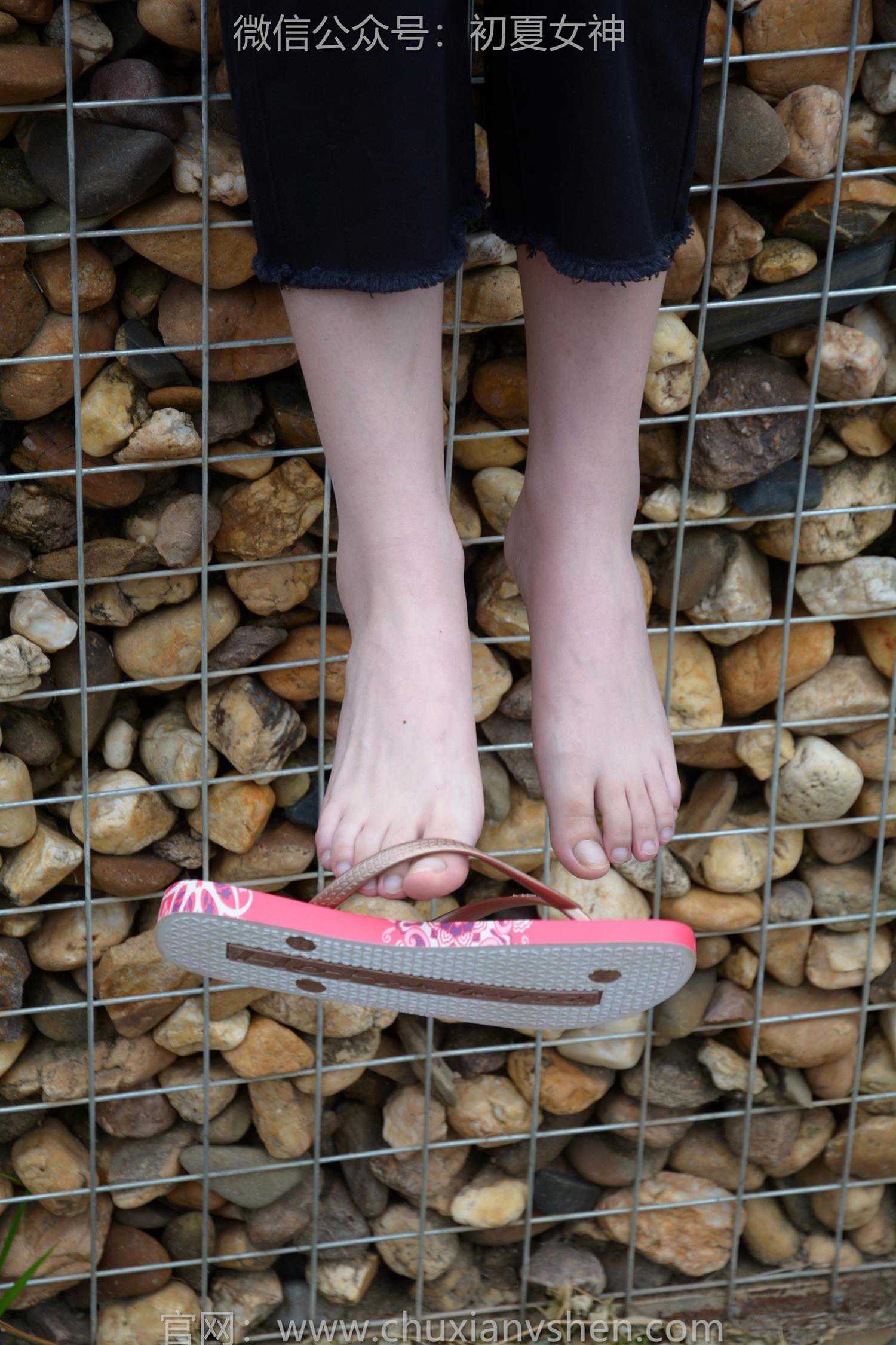 图片[74]-初夏女神 NO.208 安妮 炎炎夏日[127P] – 速更版-美库