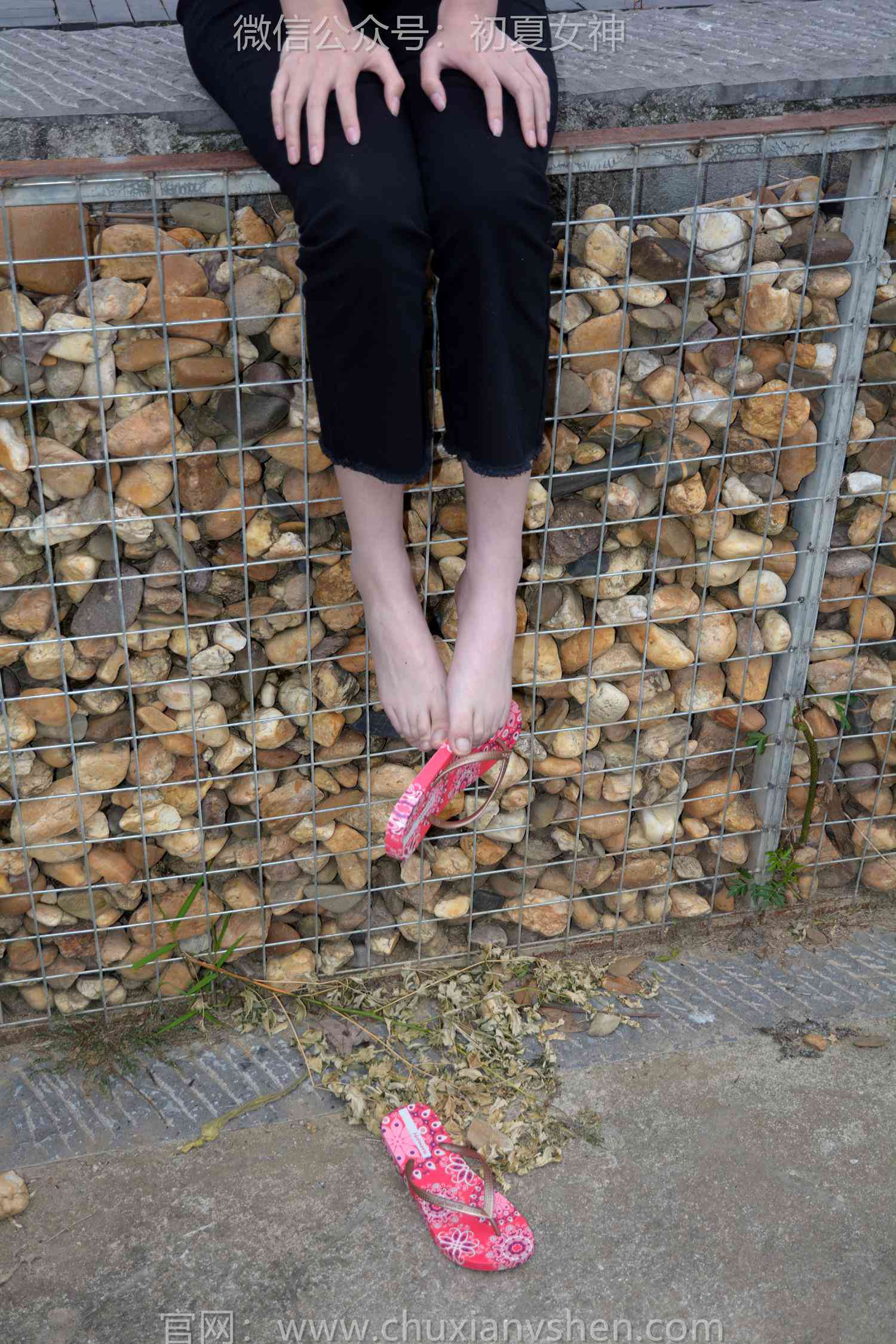 图片[75]-初夏女神 NO.208 安妮 炎炎夏日[127P] – 速更版-美库