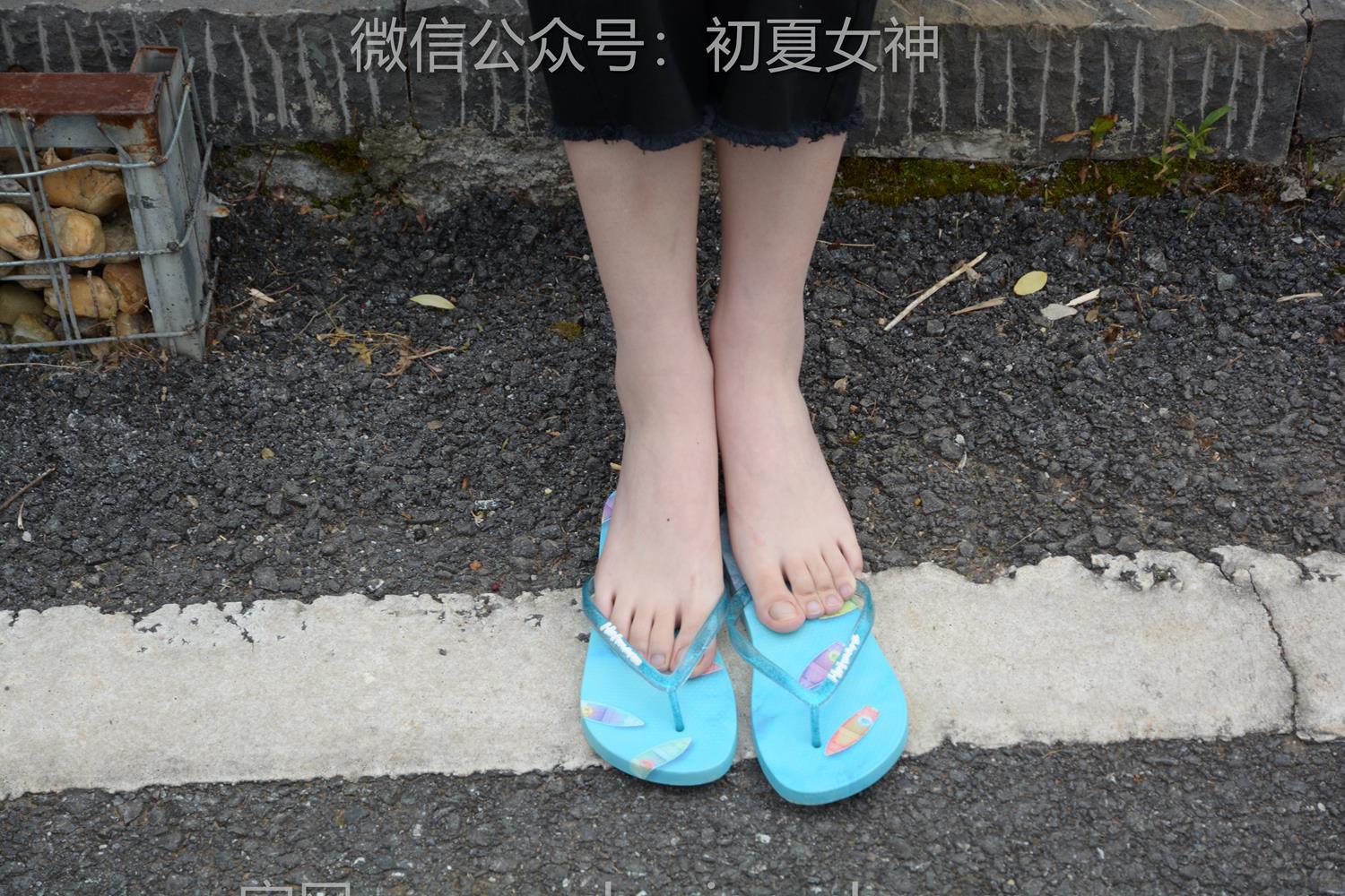 图片[126]-初夏女神 NO.208 安妮 炎炎夏日[127P] – 速更版-美库