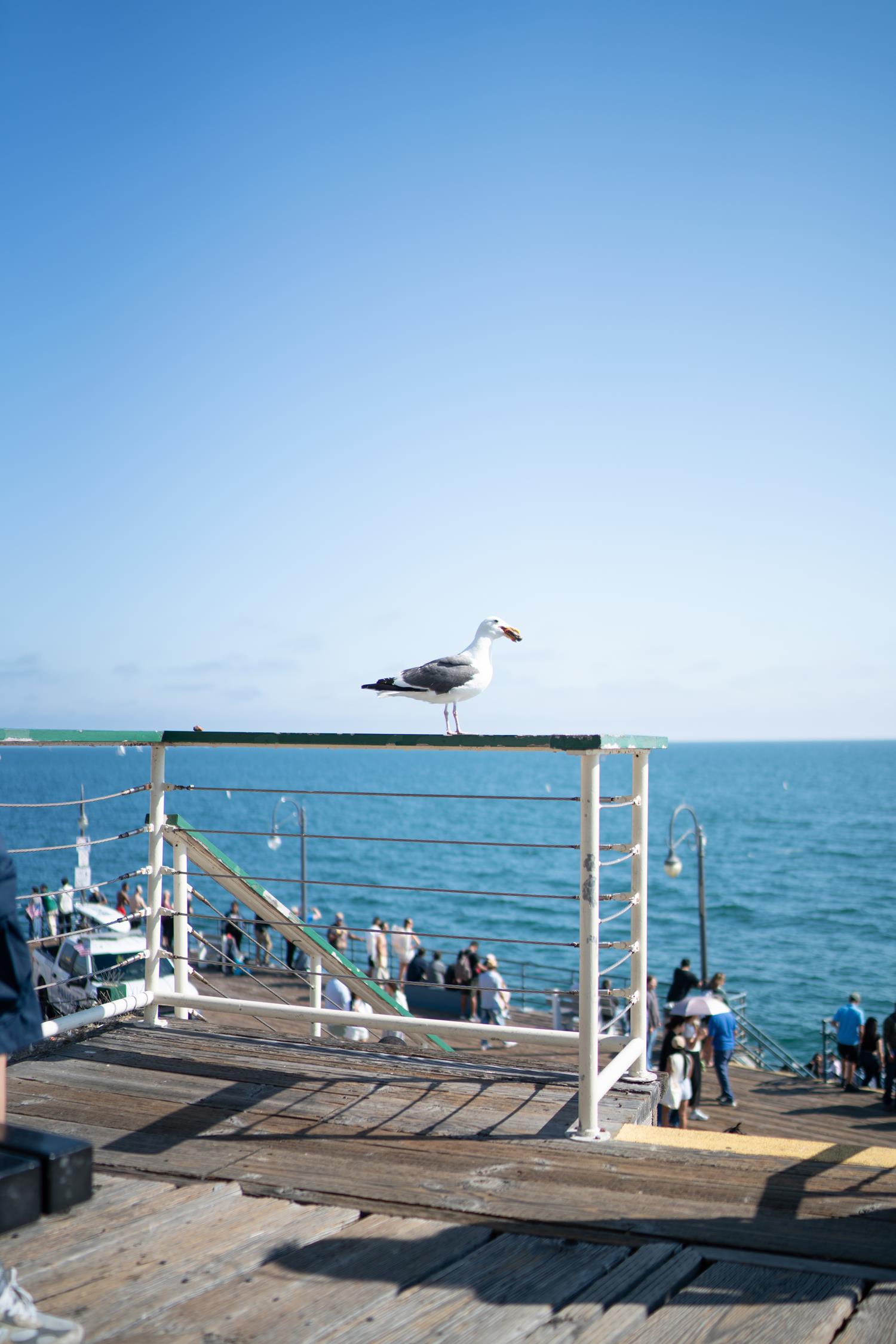 图片[39]-Hane Ame 雨波写真  – 眼鏡女友 夏末回忆[58P] – 速更版-美库