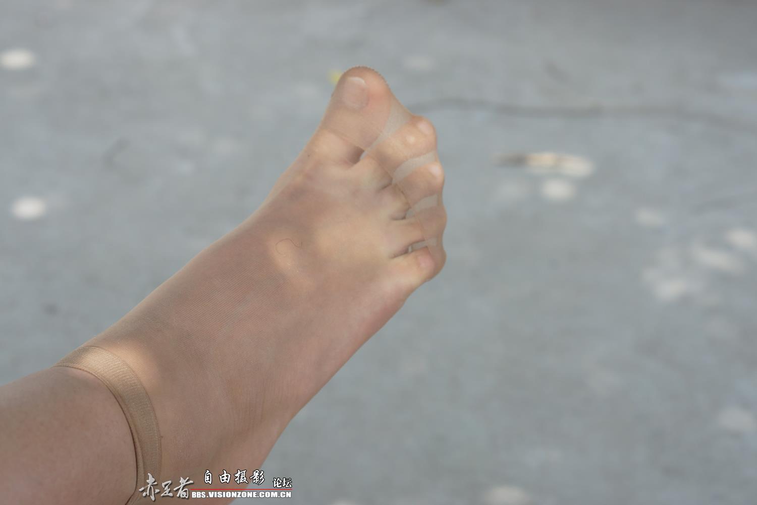 图片[30]-自由摄影 No.315 39码大脚 [66P] – 速更版-美库