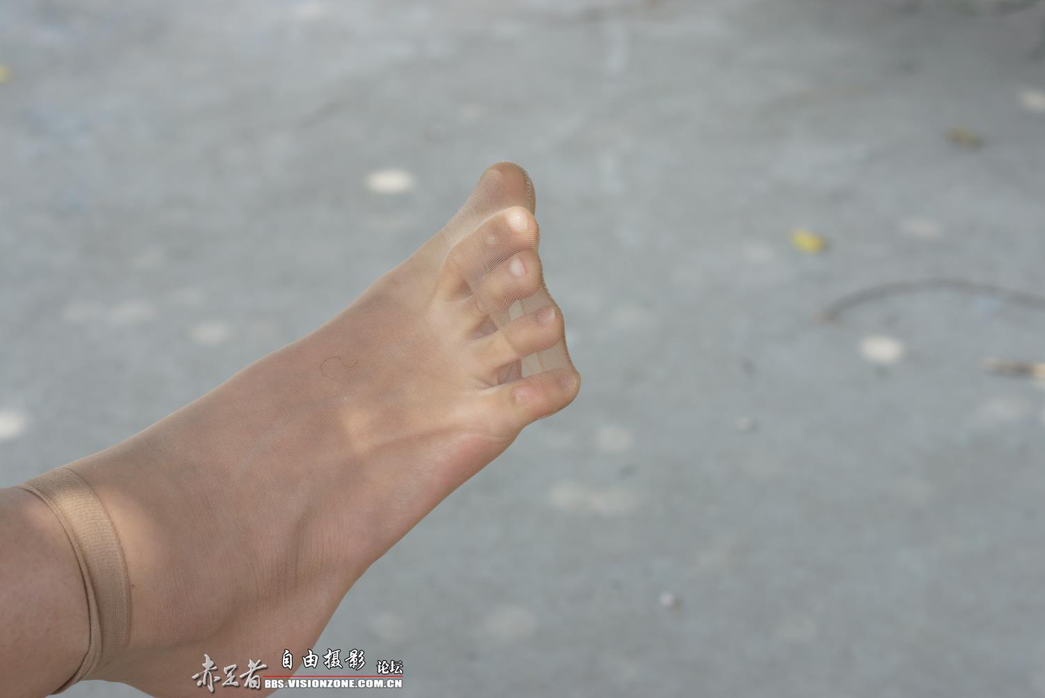 图片[33]-自由摄影 No.315 39码大脚 [66P] – 速更版-美库