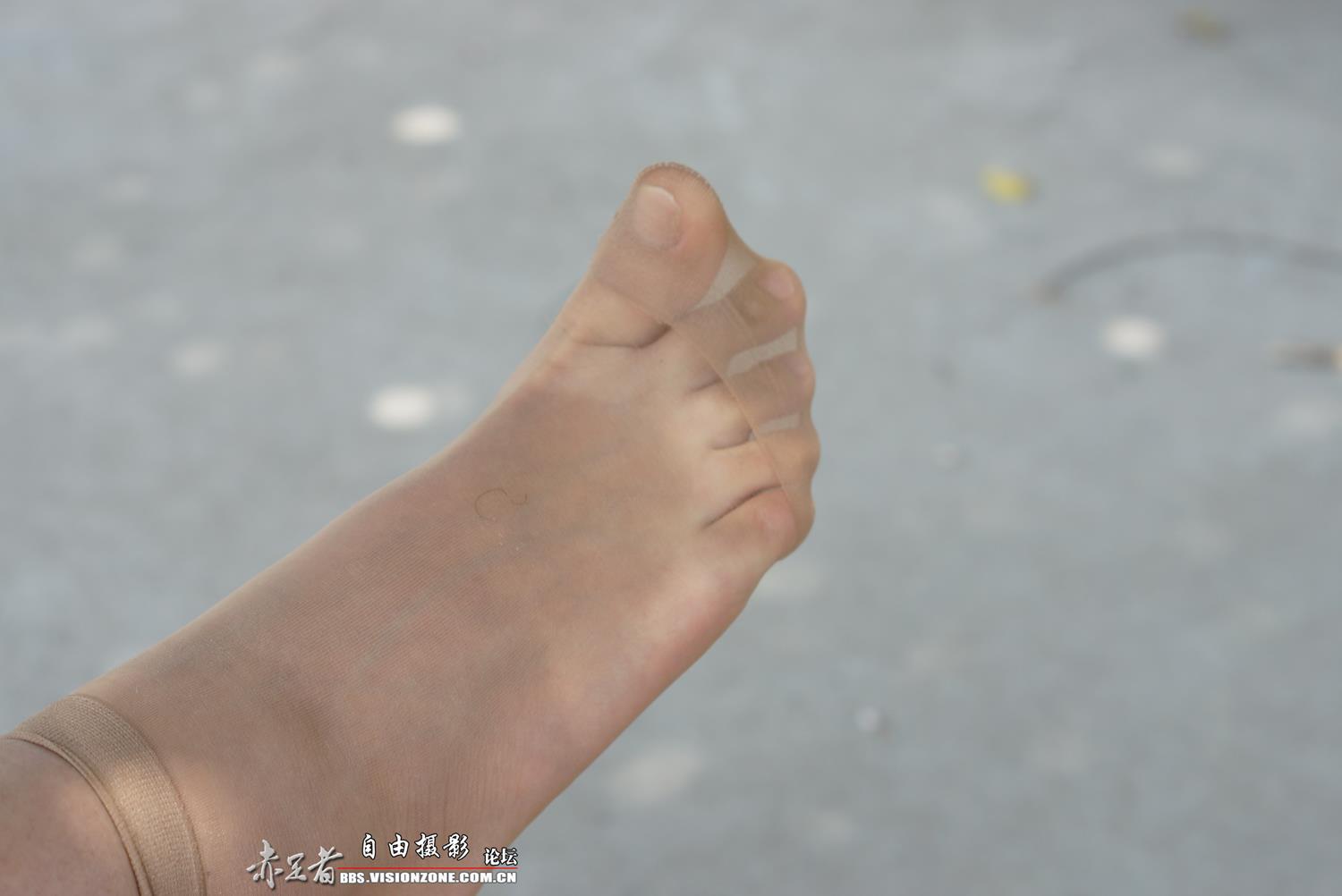 图片[39]-自由摄影 No.315 39码大脚 [66P] – 速更版-美库