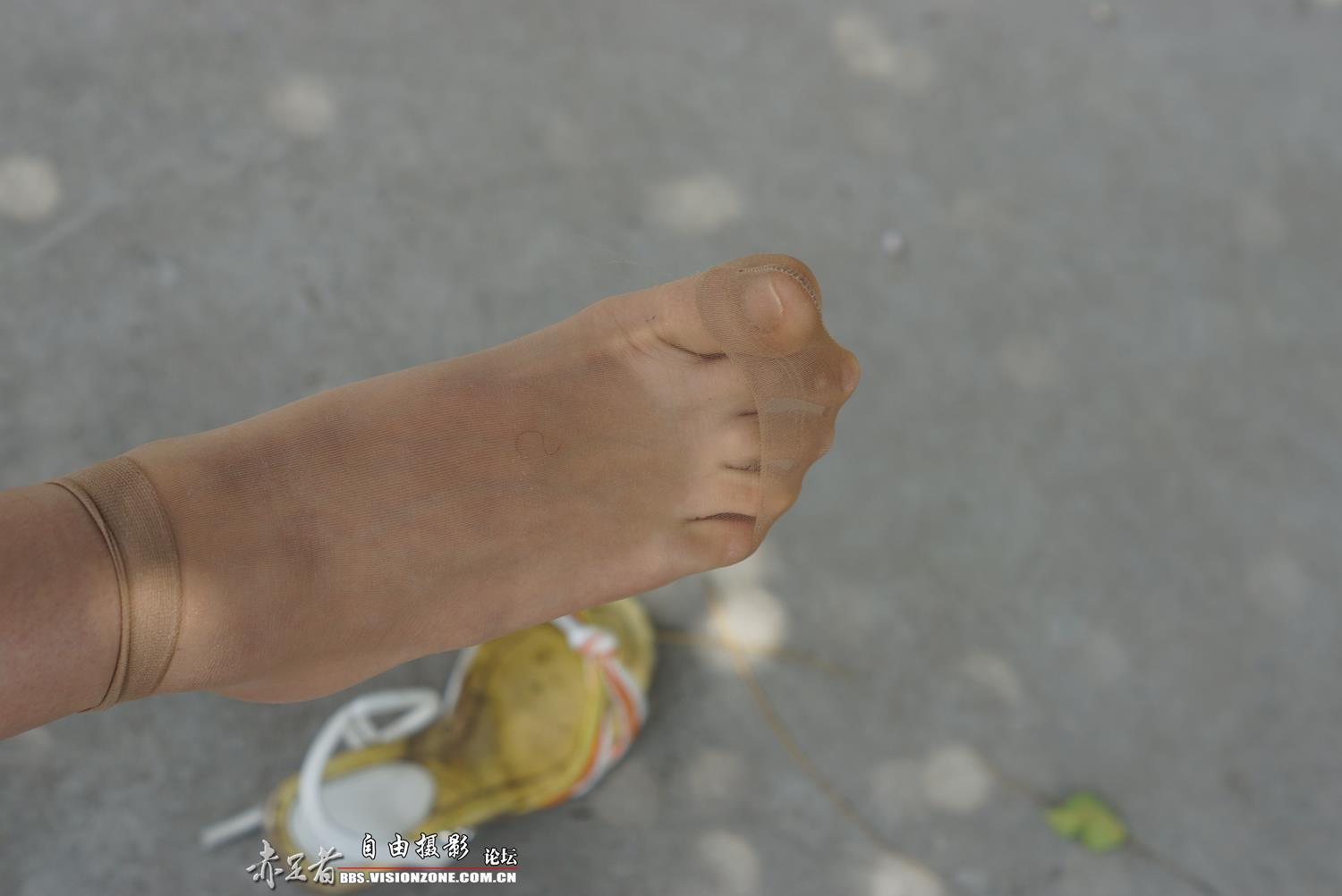 图片[40]-自由摄影 No.315 39码大脚 [66P] – 速更版-美库