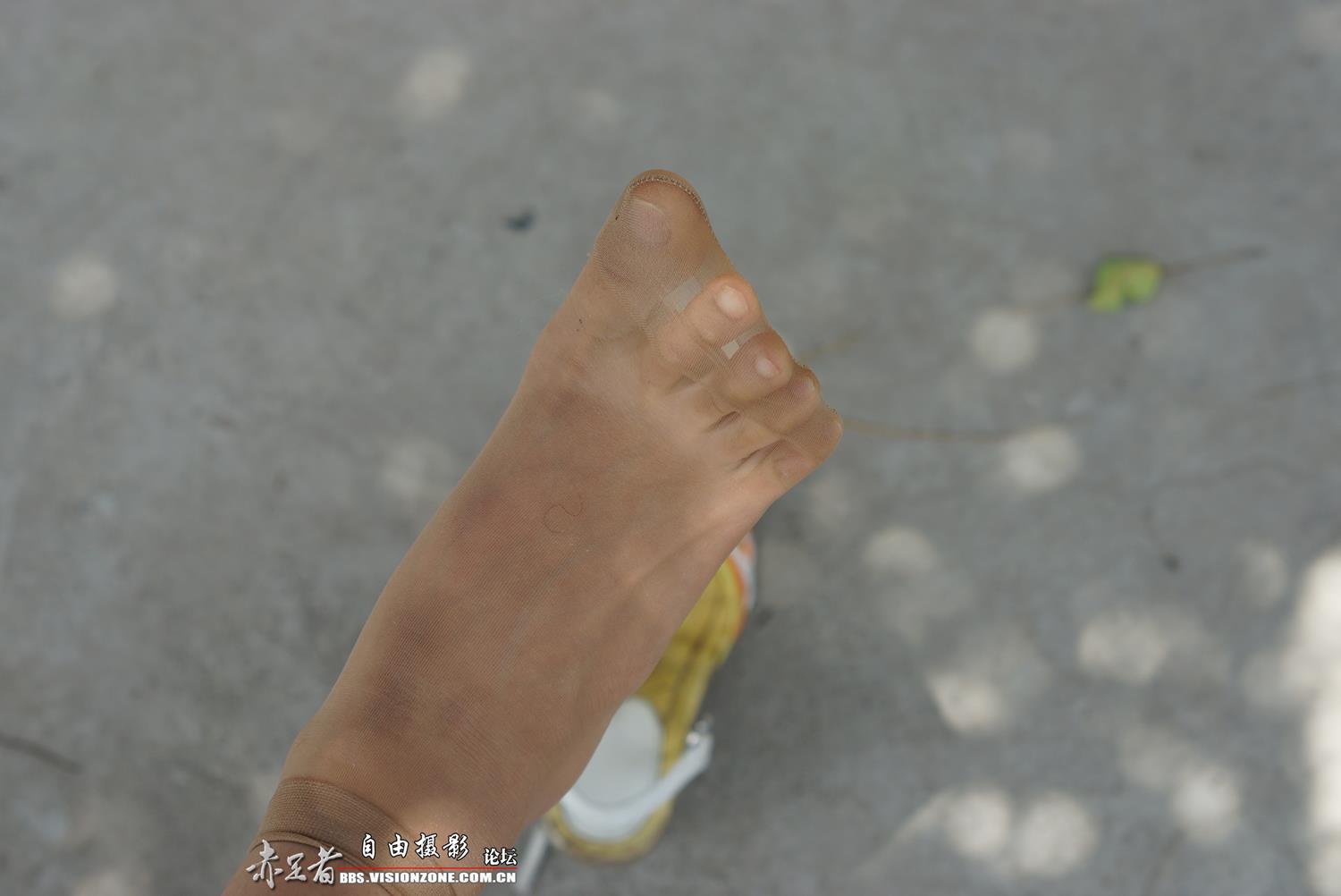 图片[41]-自由摄影 No.315 39码大脚 [66P] – 速更版-美库