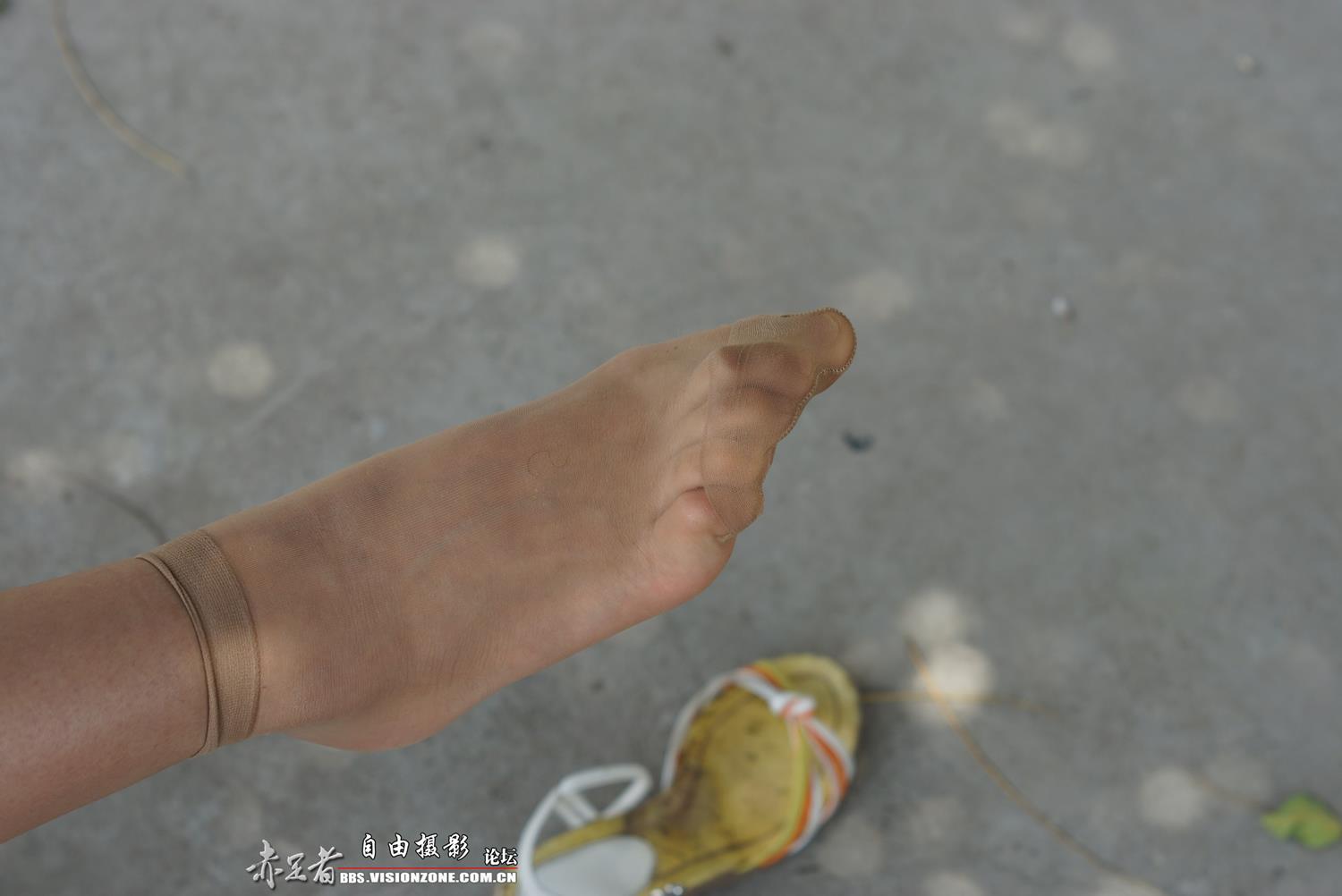 图片[42]-自由摄影 No.315 39码大脚 [66P] – 速更版-美库