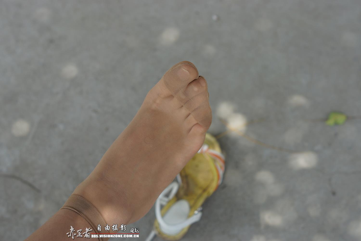 图片[43]-自由摄影 No.315 39码大脚 [66P] – 速更版-美库